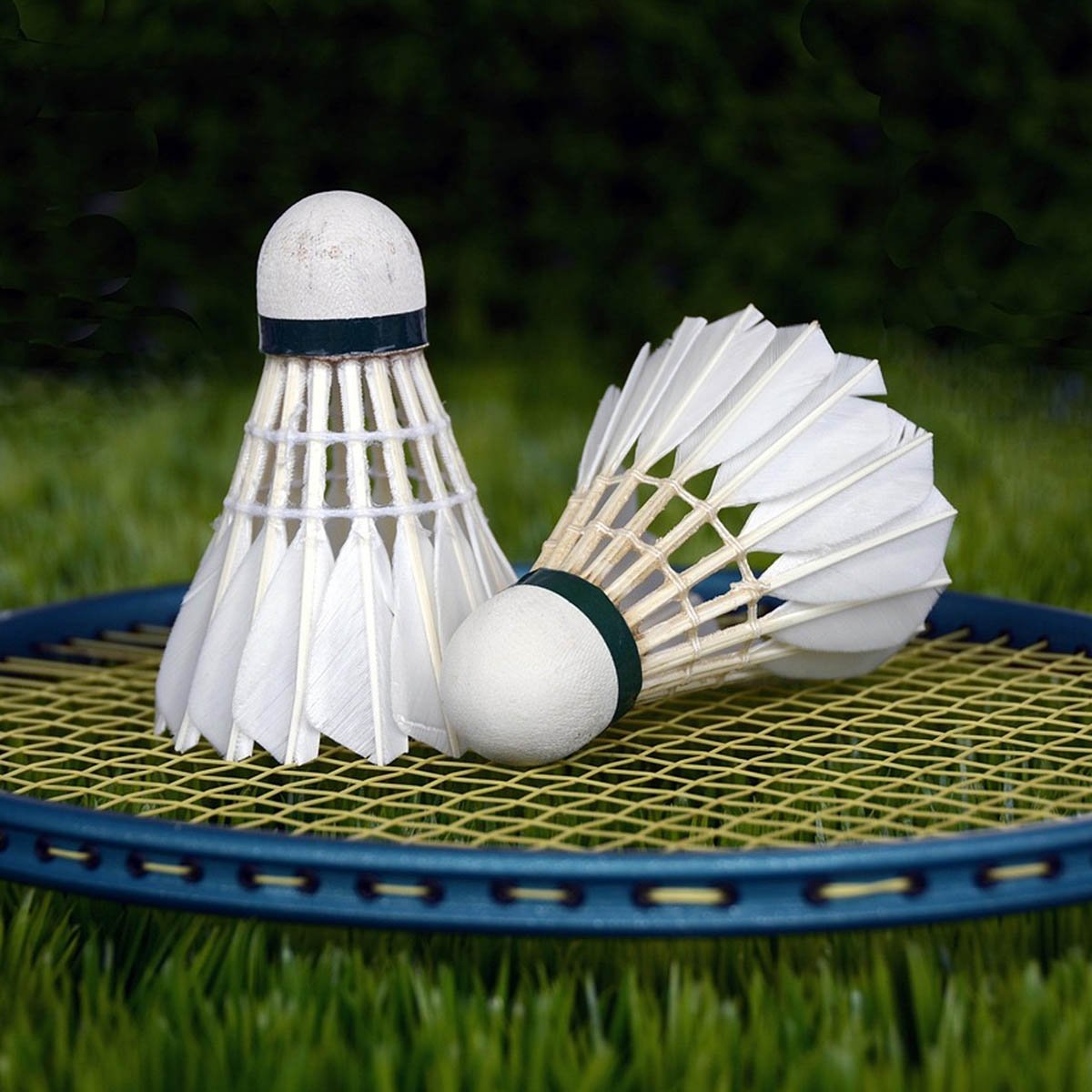 The Art of Making a Badminton Shuttlecock