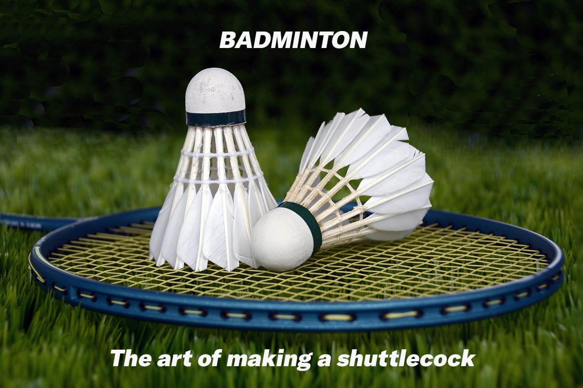 Badminton Shuttlecock close up