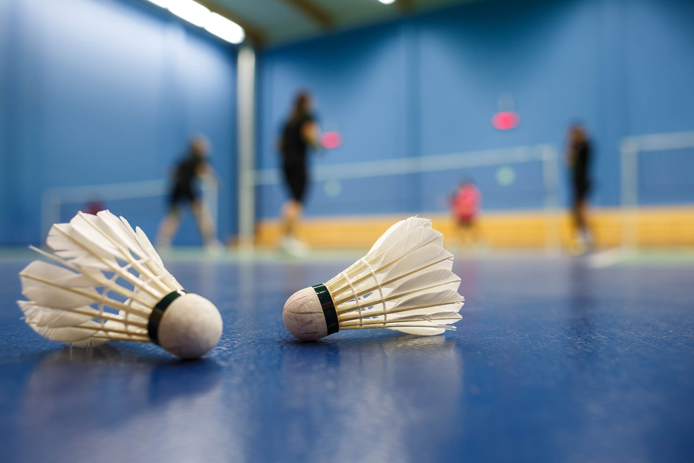 Shuttlecock close up