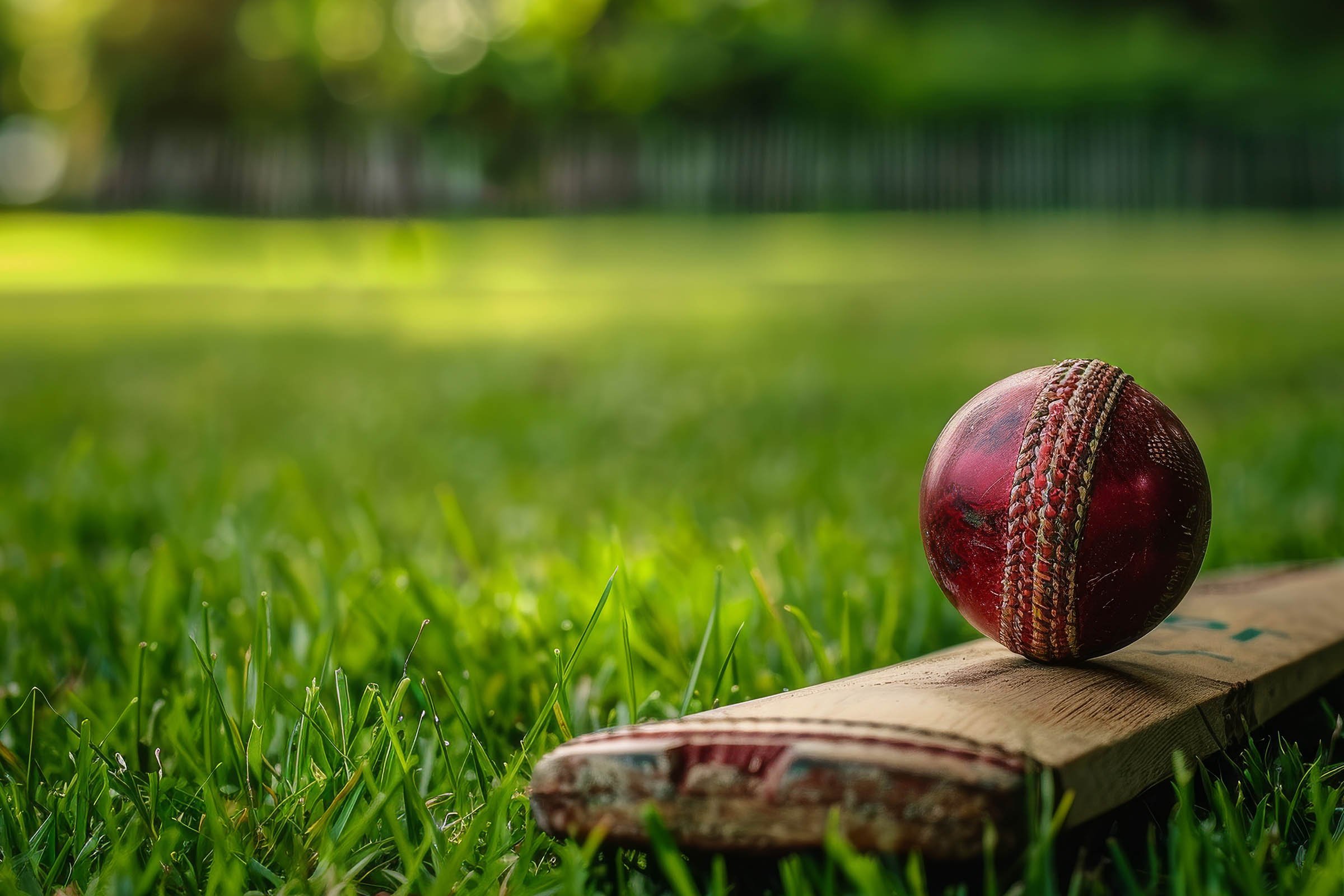 Cricket Bat and Ball