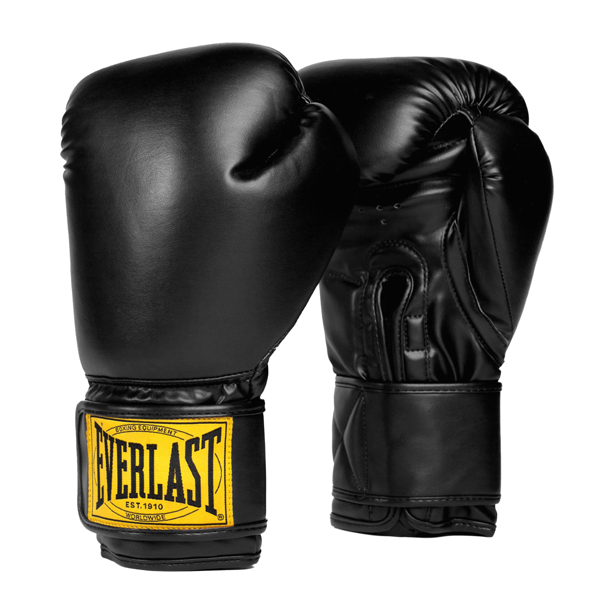 Everlast 1910 (12oz) Boxing Mitt Kit