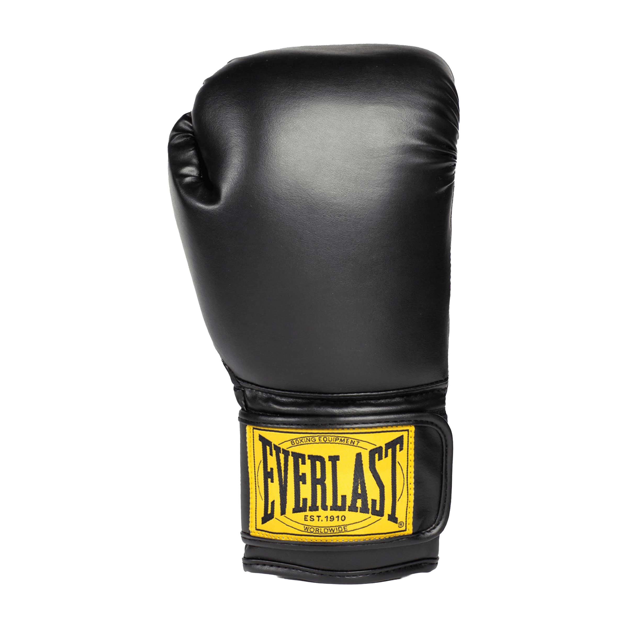 Everlast 1910 (12oz) Boxing Mitt Kit