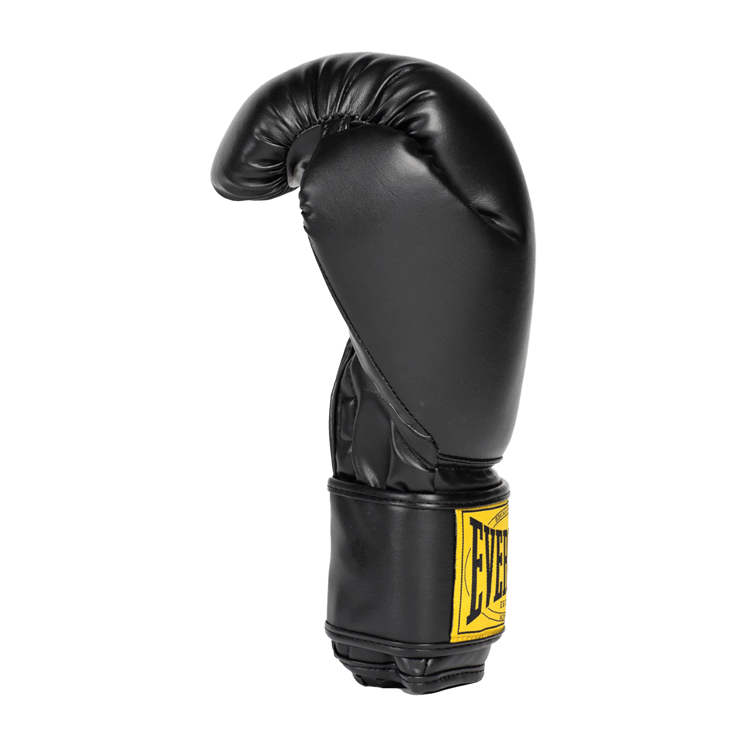 Everlast 1910 (12oz) Boxing Mitt Kit