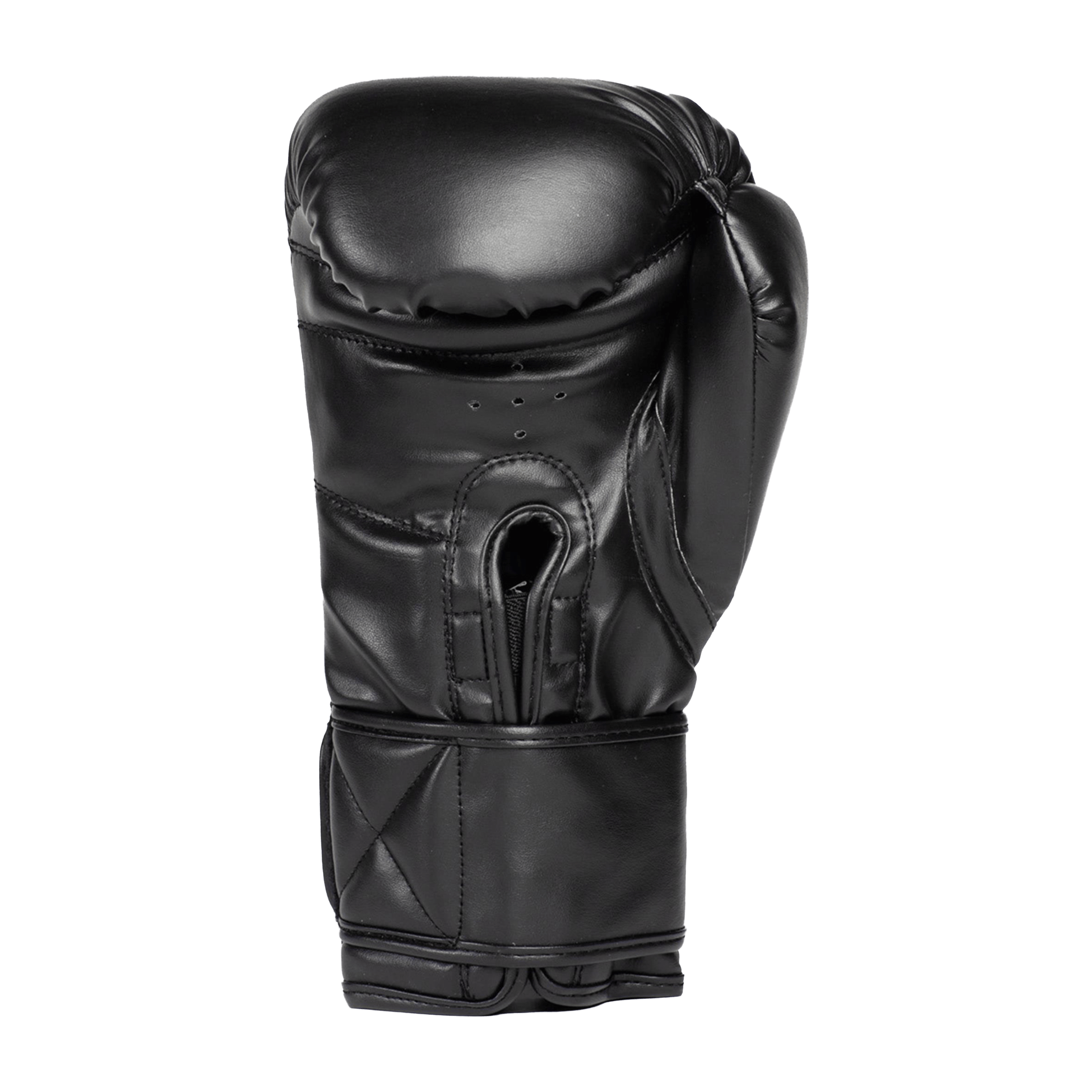 Everlast 1910 (12oz) Boxing Mitt Kit