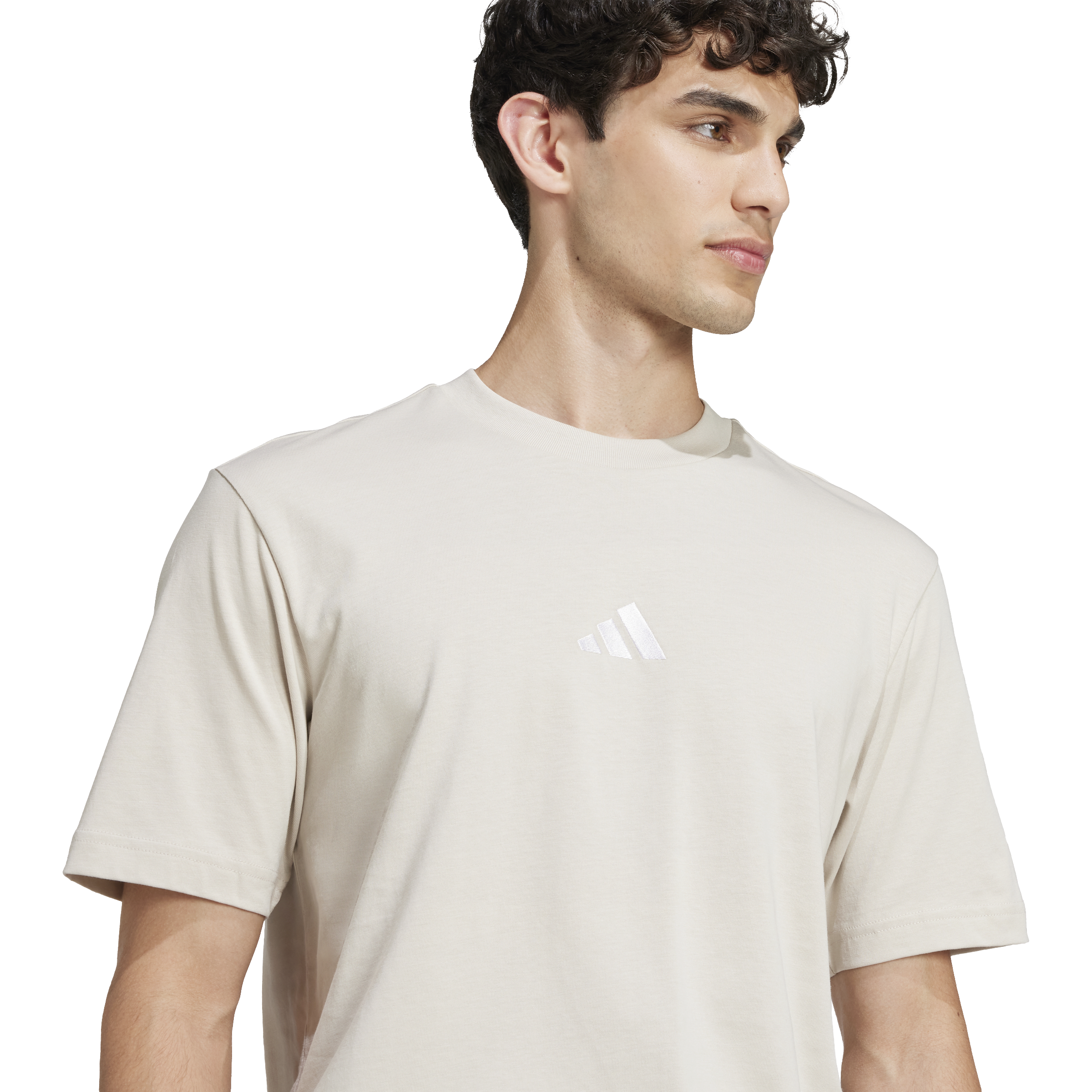 Adidas Essentials (Small Logo) Single Jersey Tee