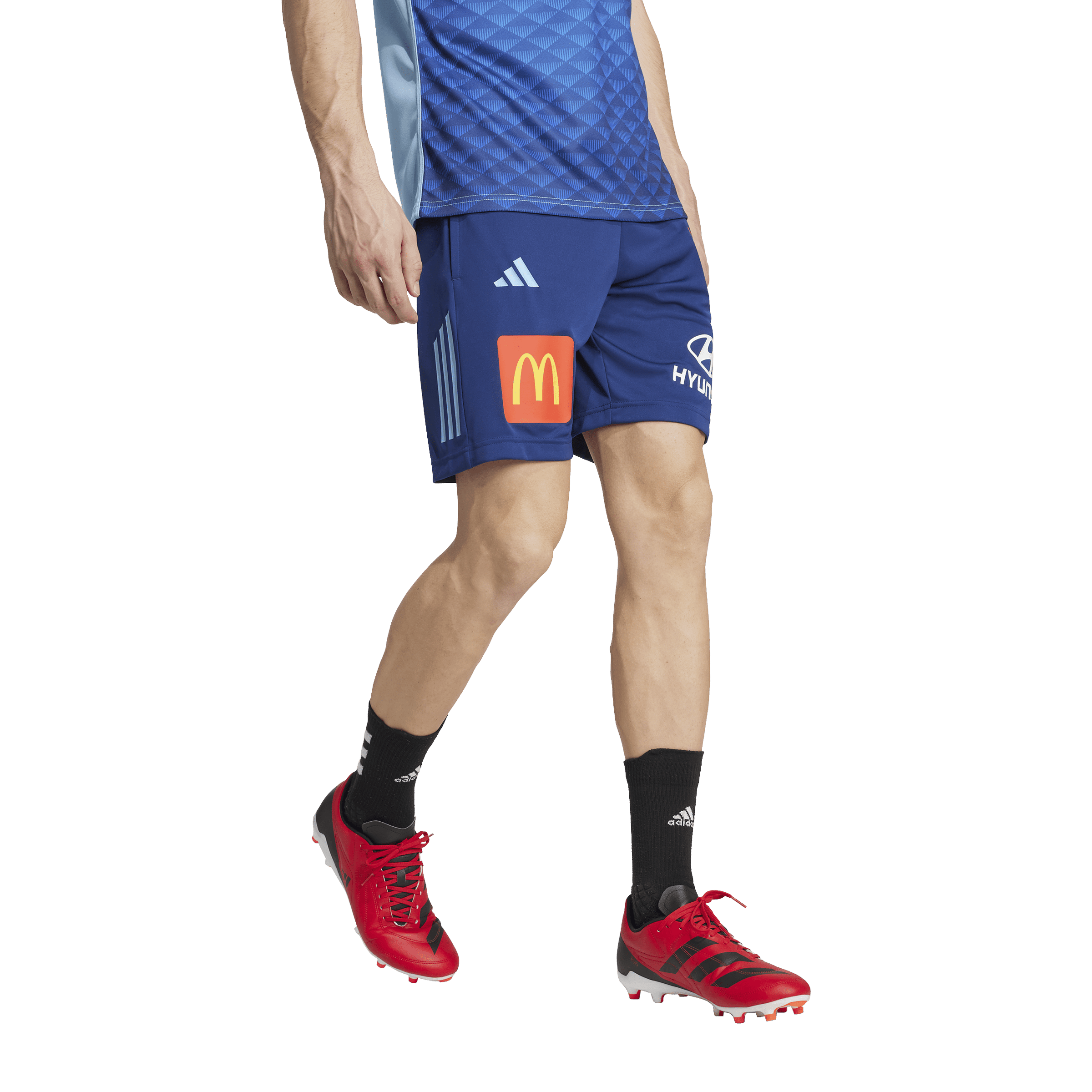 Womens Adidas Westpac NSW Blues Gym Shorts