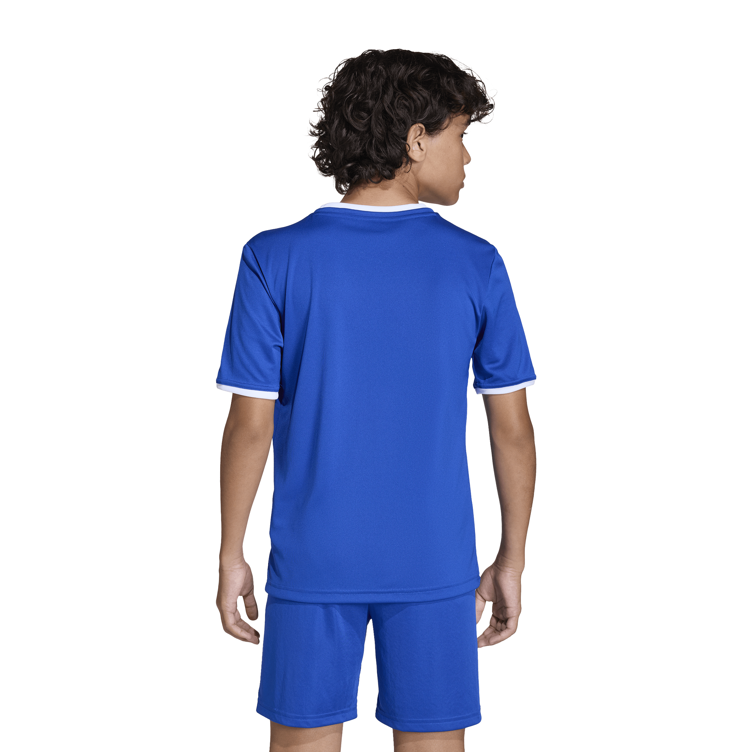 Adidas Entrada26 Jersey