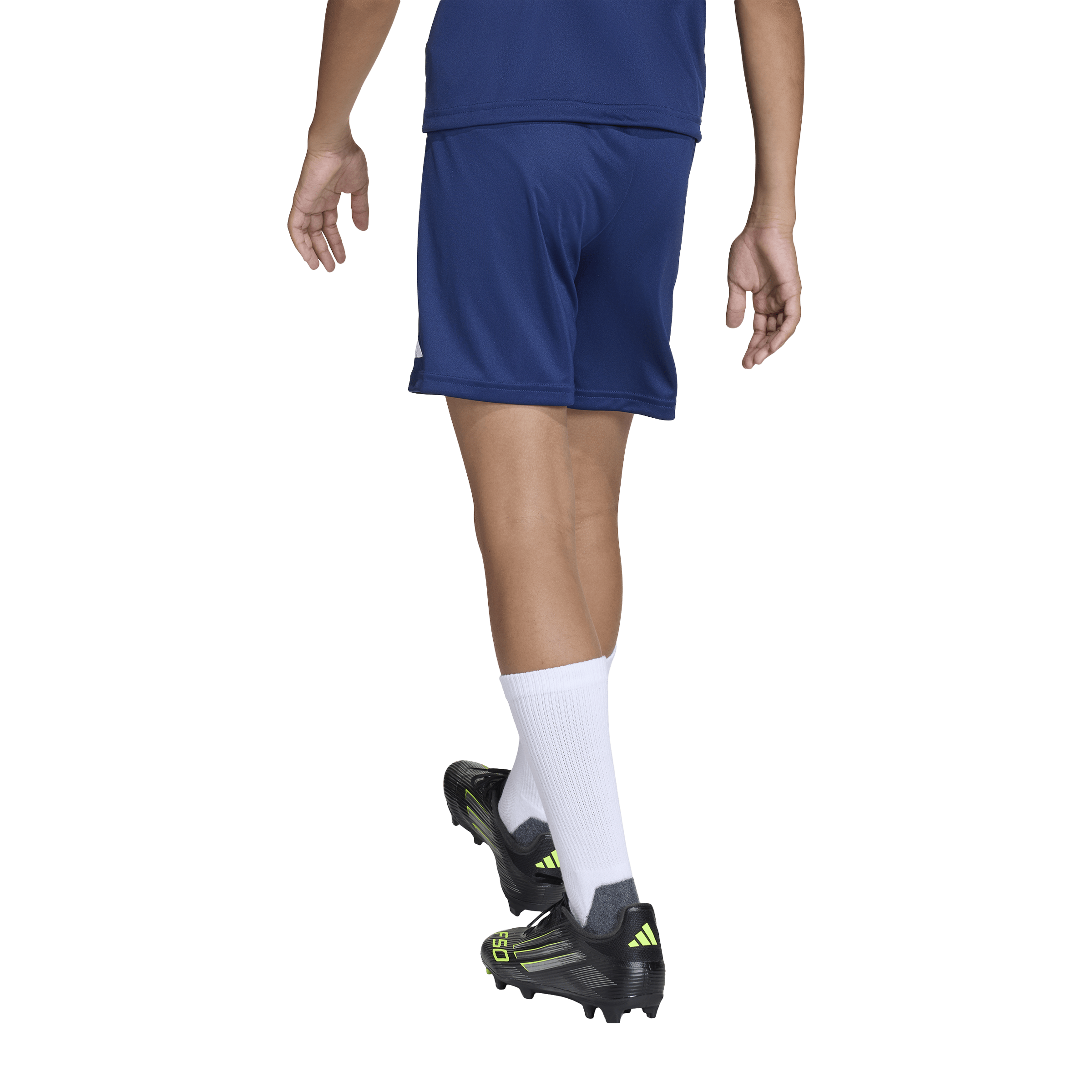 Adidas Entrada26 Shorts