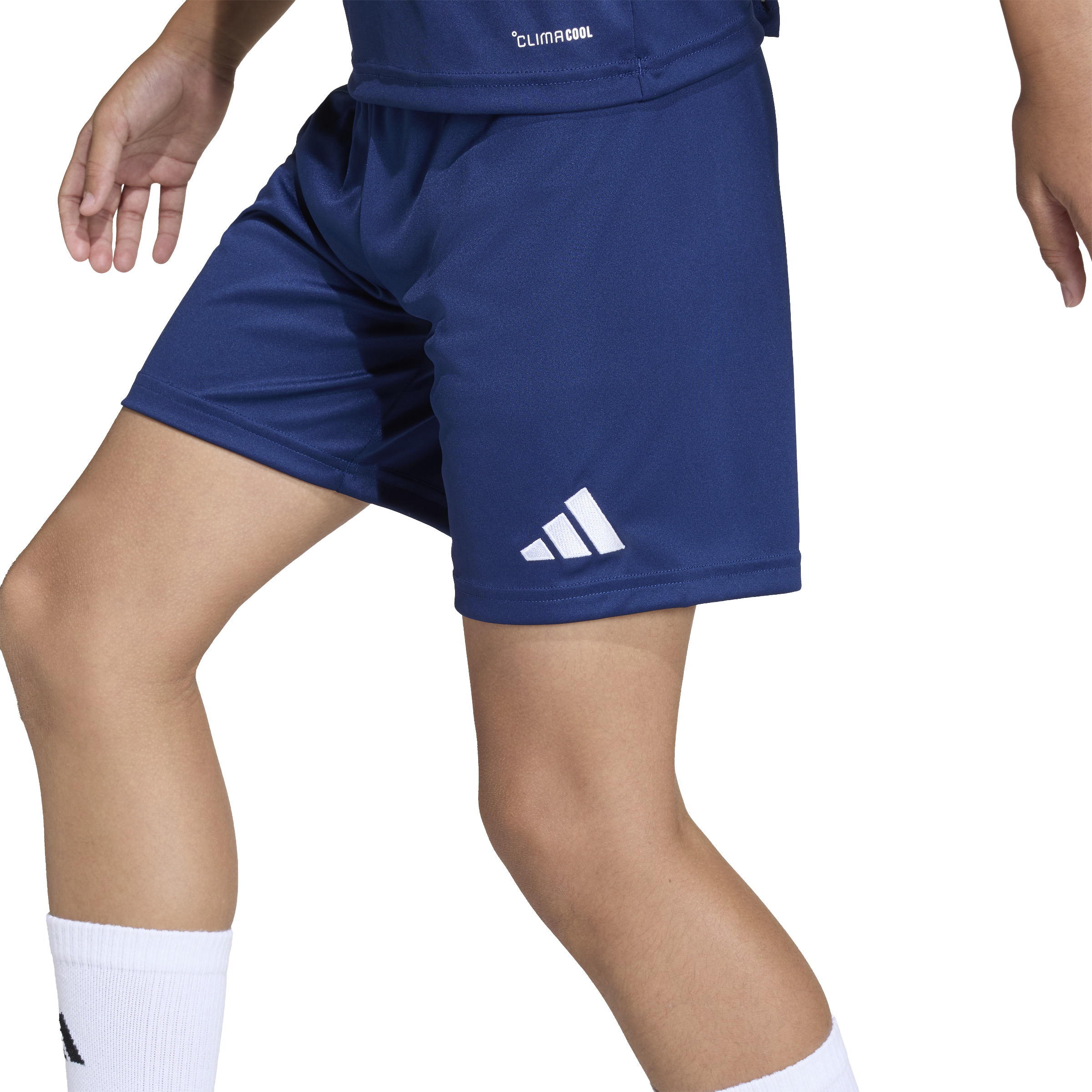 Adidas Entrada26 Shorts