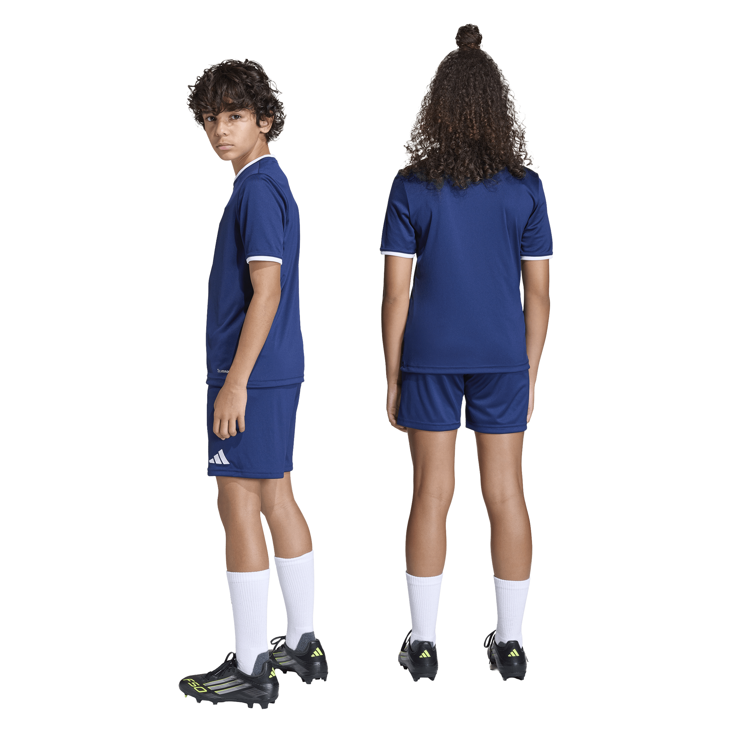 Adidas Entrada26 Shorts