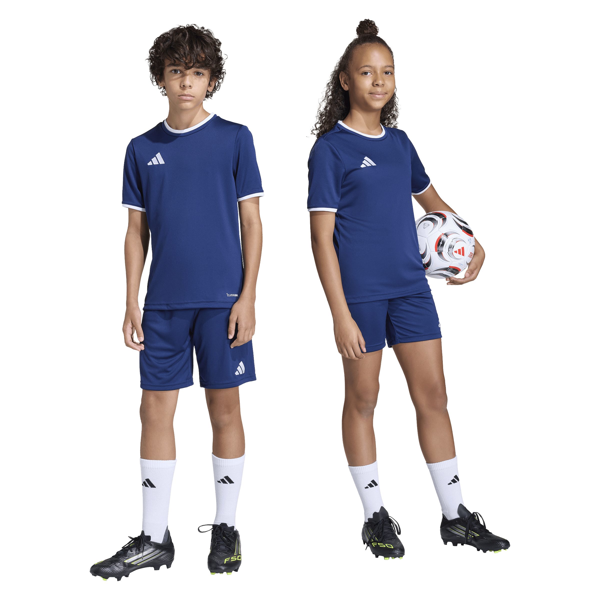 Adidas Entrada26 Shorts