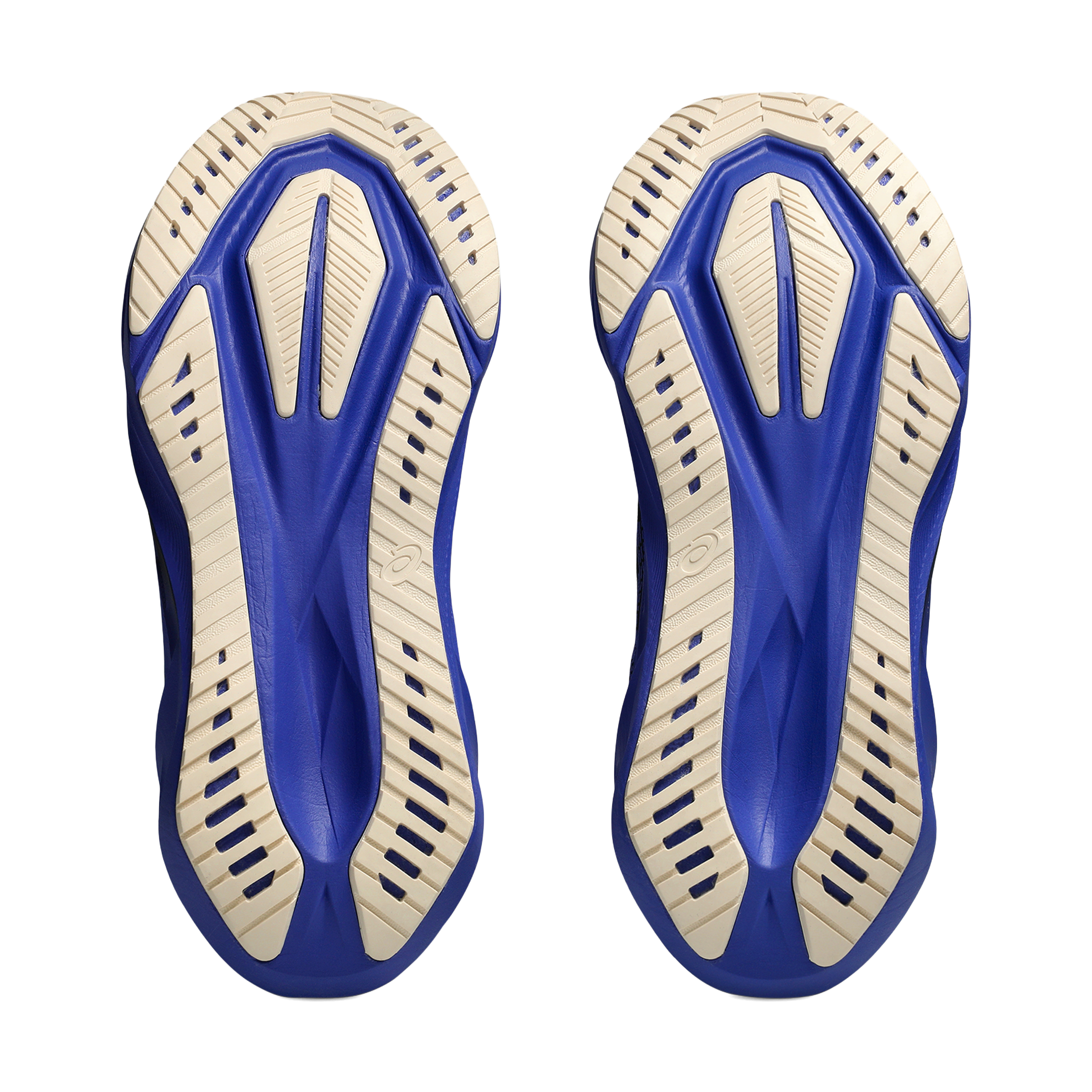 Asics Novablast 5 Running Shoes