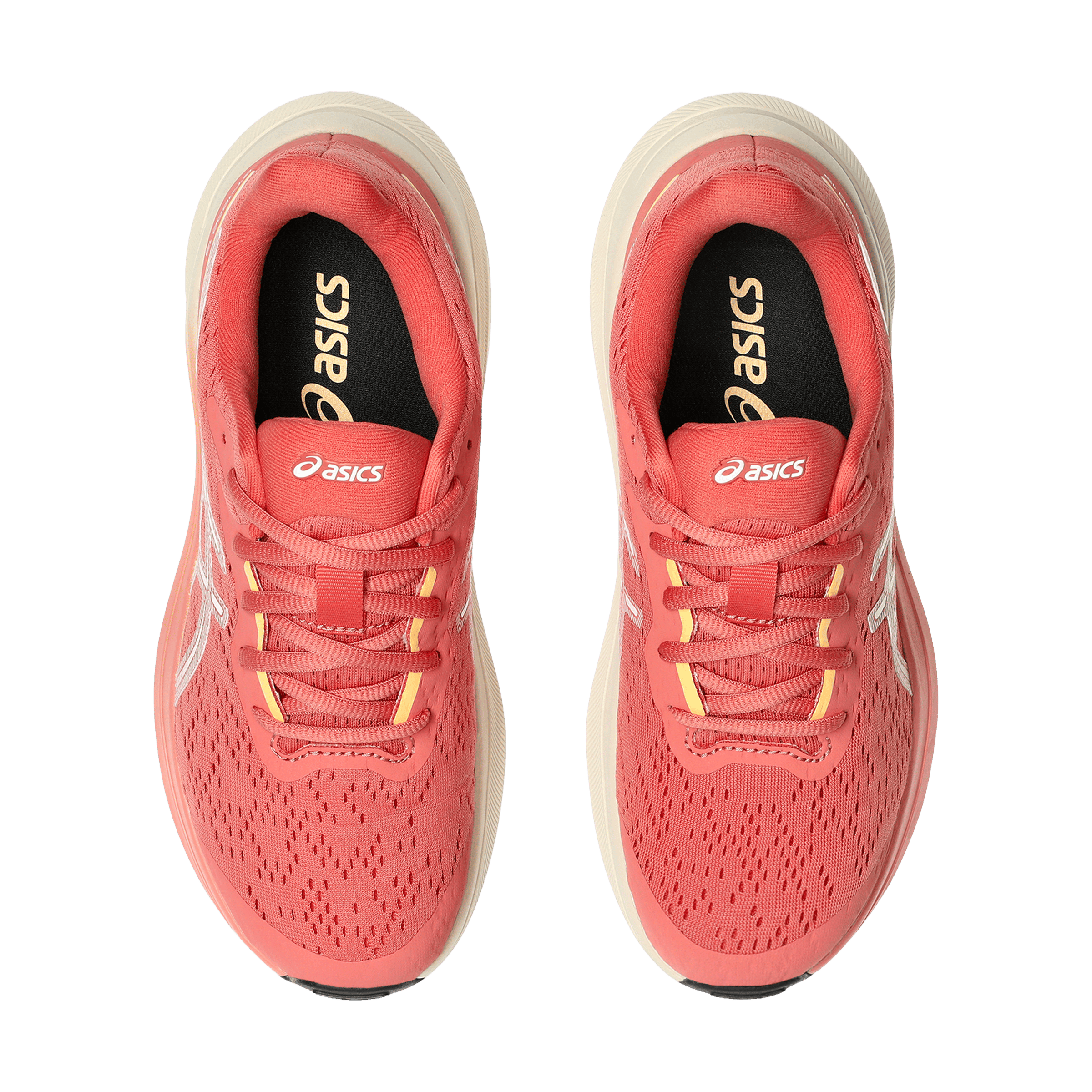 Kids Asics GT-1000 13 (GS) Running Shoes