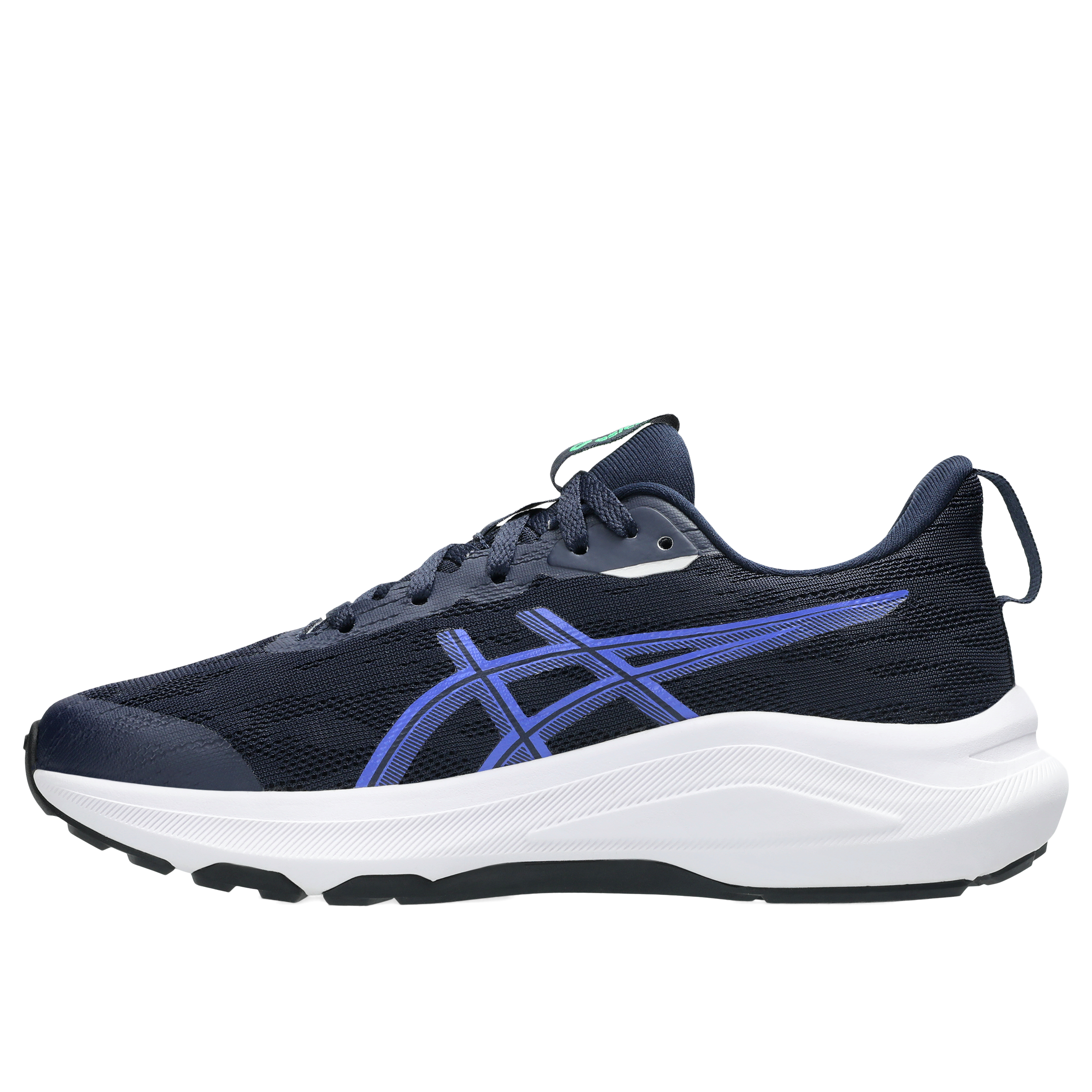 Asics GT-1000 14 (GS) Running Shoes