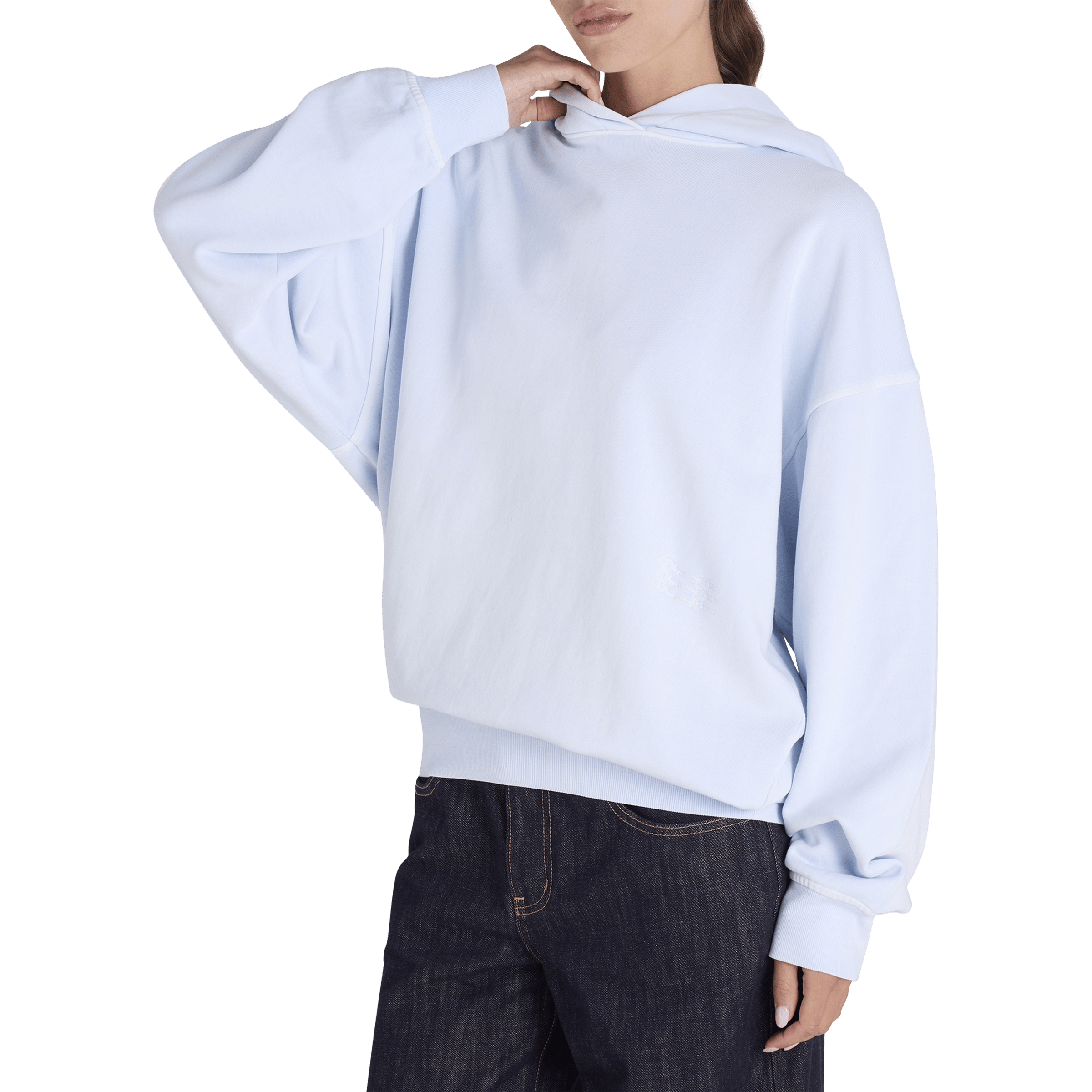 Womens Champion Rochester Vintage Wash Hoodie