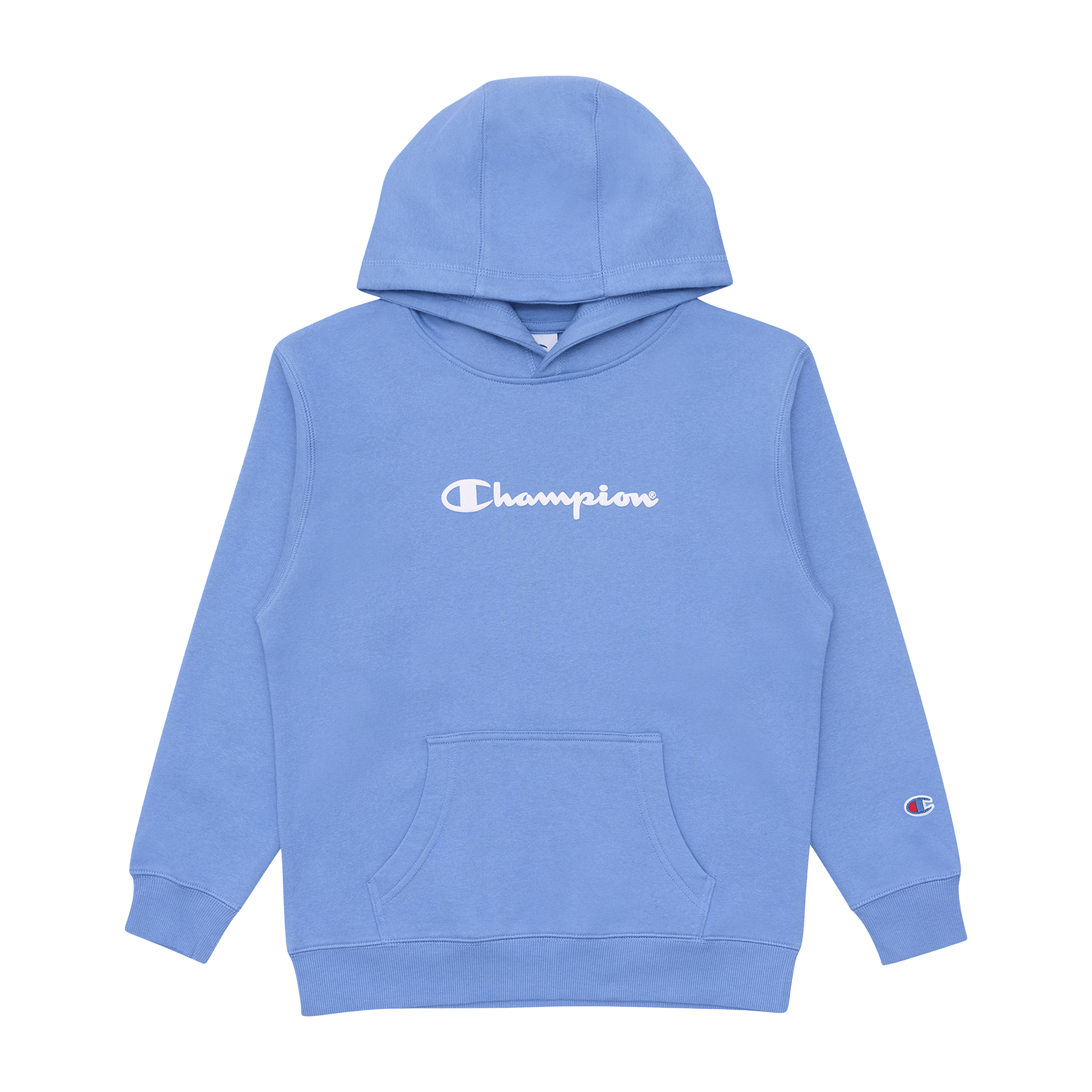 Kids Champion  Puff Script Hoodie
