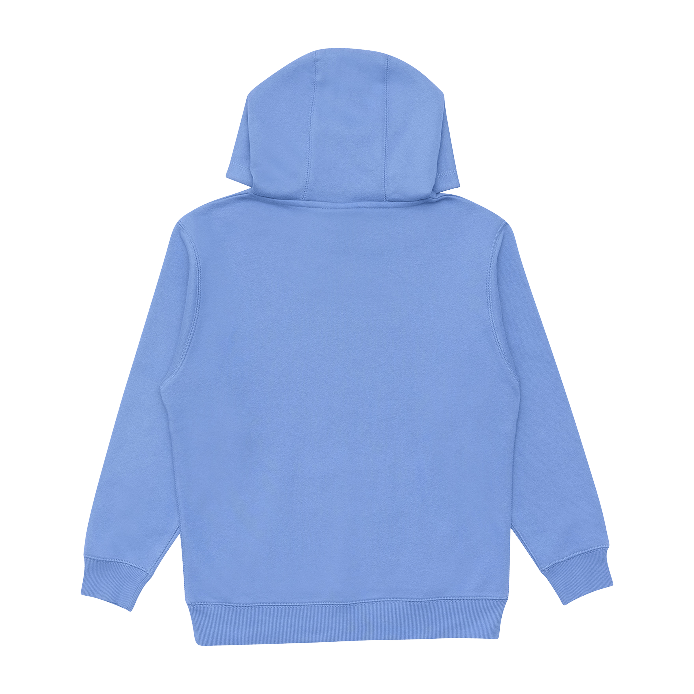 Kids Champion  Puff Script Hoodie