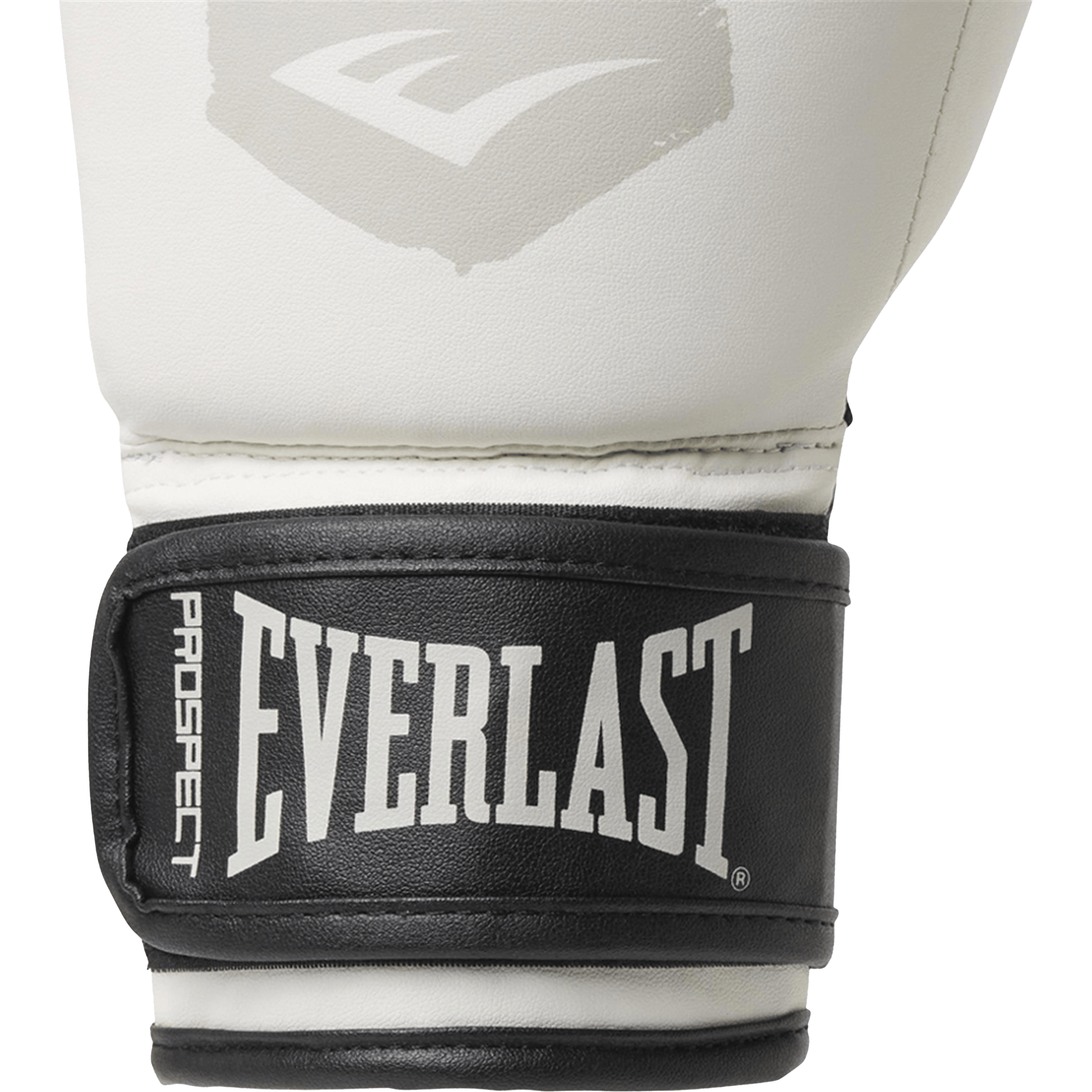Everlast Prospect 2 Boxing Gloves