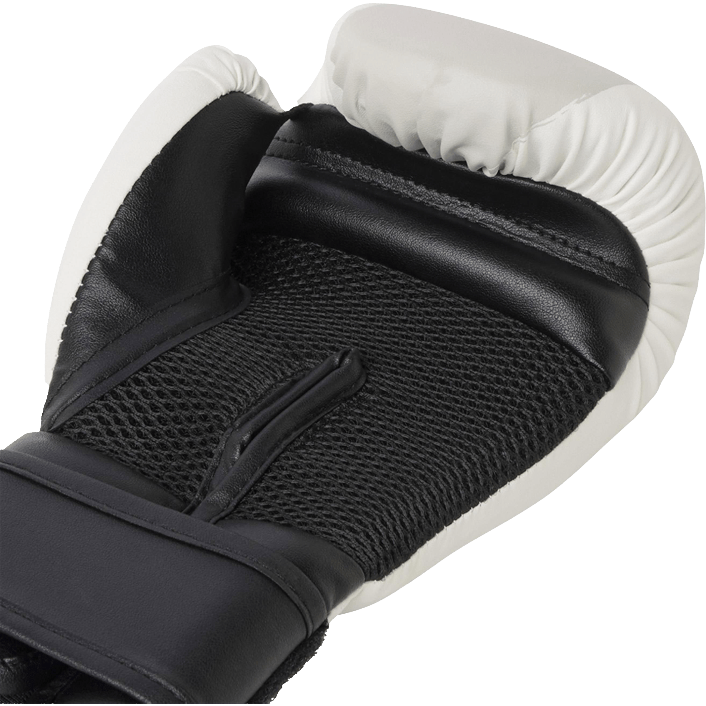 Everlast Prospect 2 Boxing Gloves