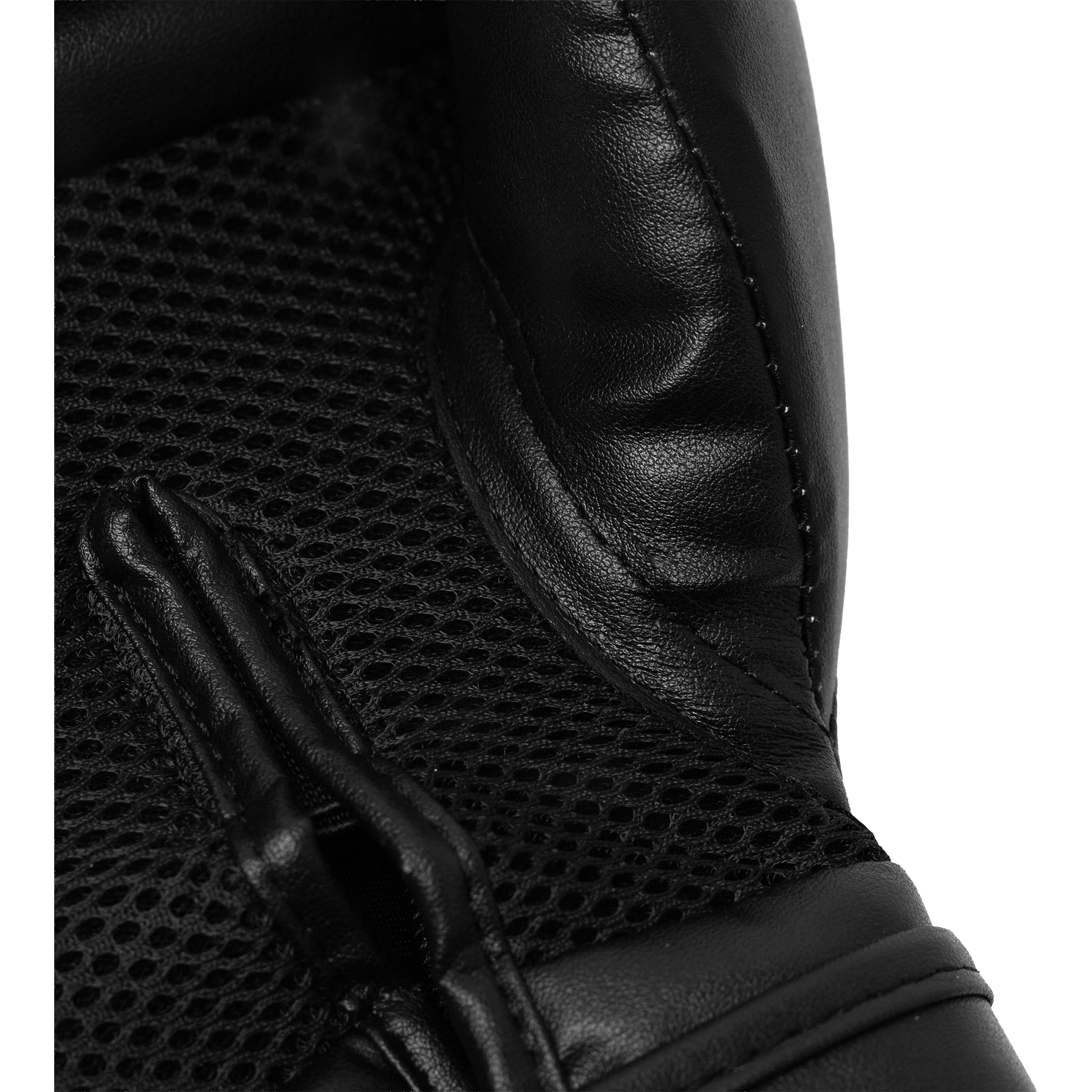 Everlast Prospect 2 Boxing Gloves