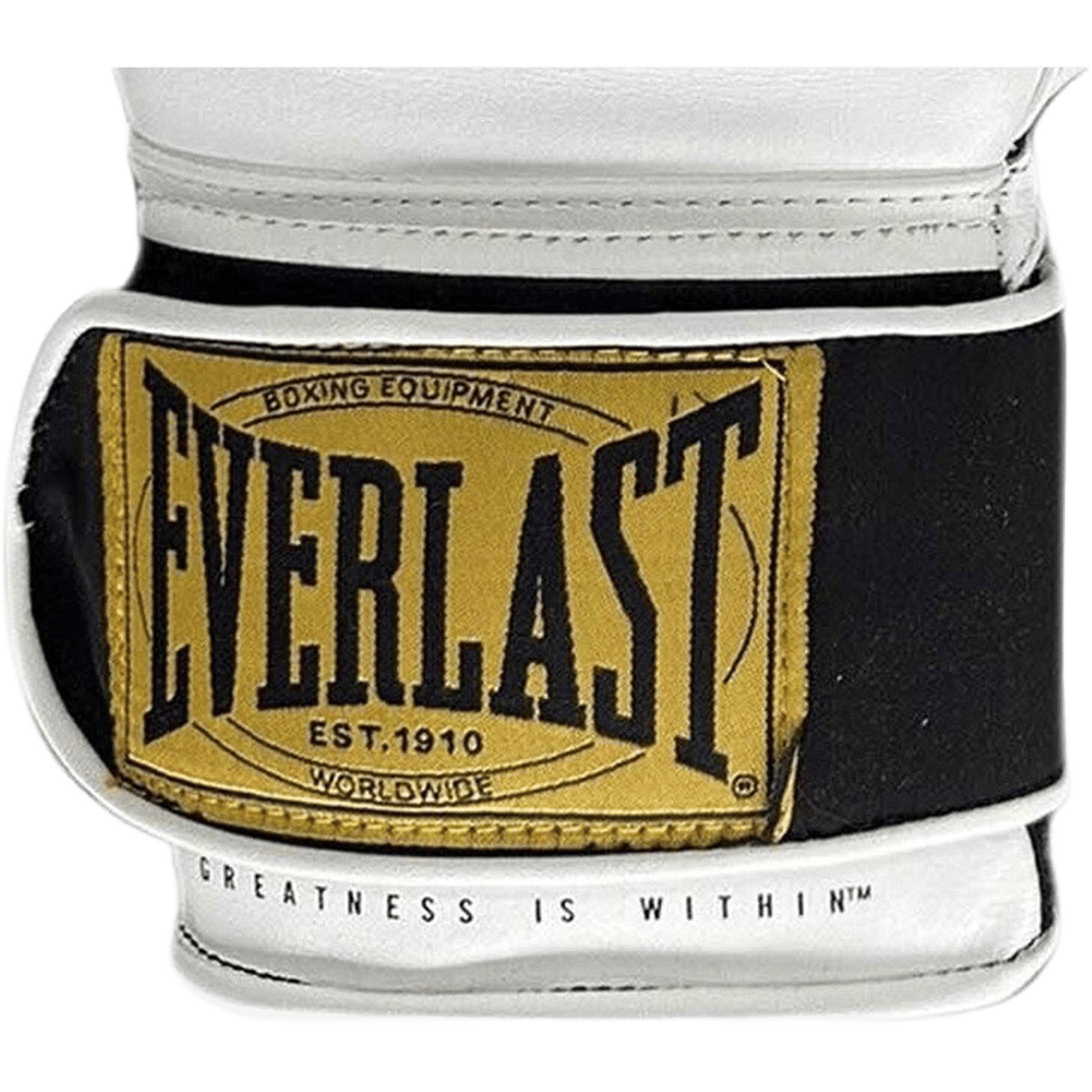 Everlast Boxing 1910 Classic (12oz) Training Gloves