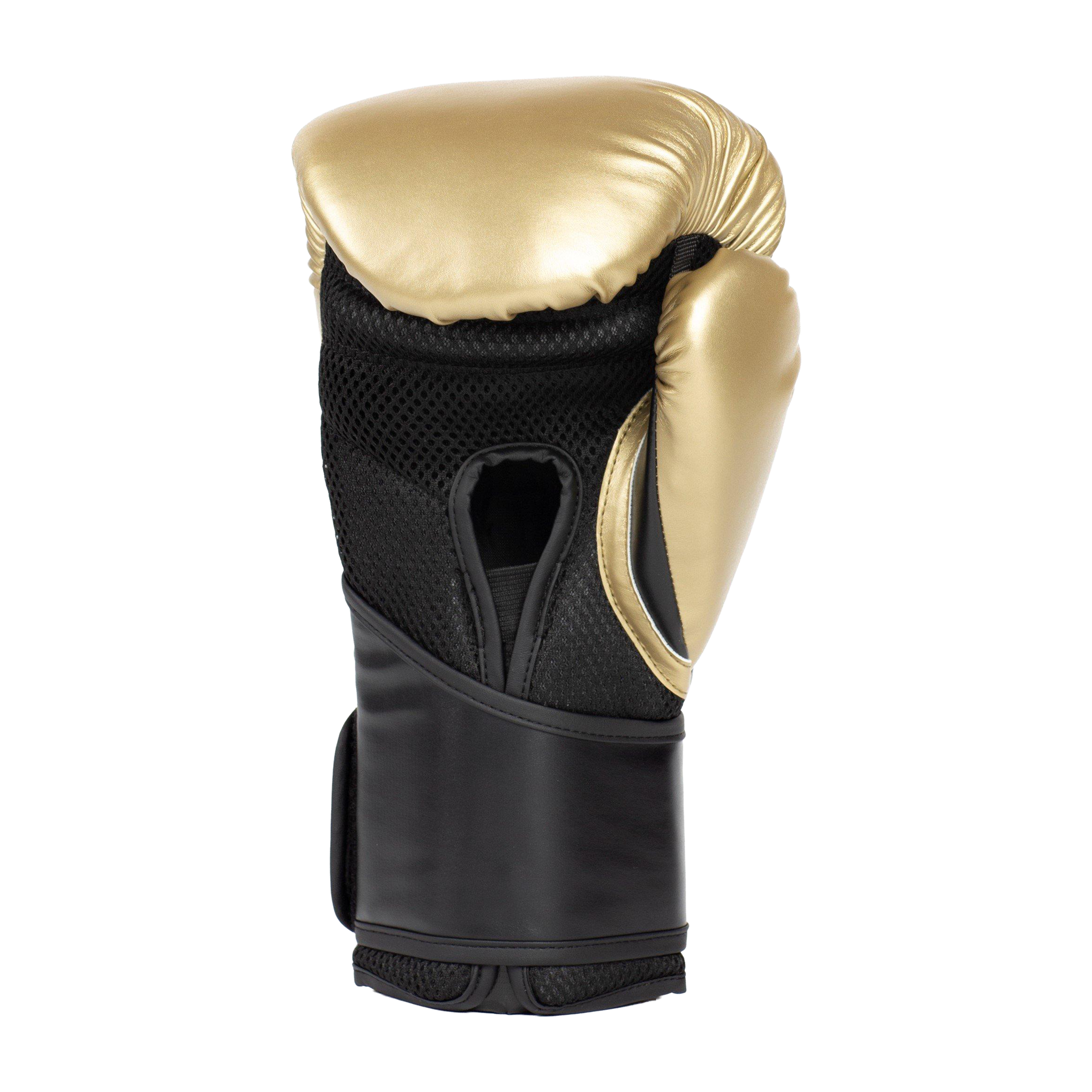Everlast Boxing Pro Styling Elite (12oz) Training Gloves