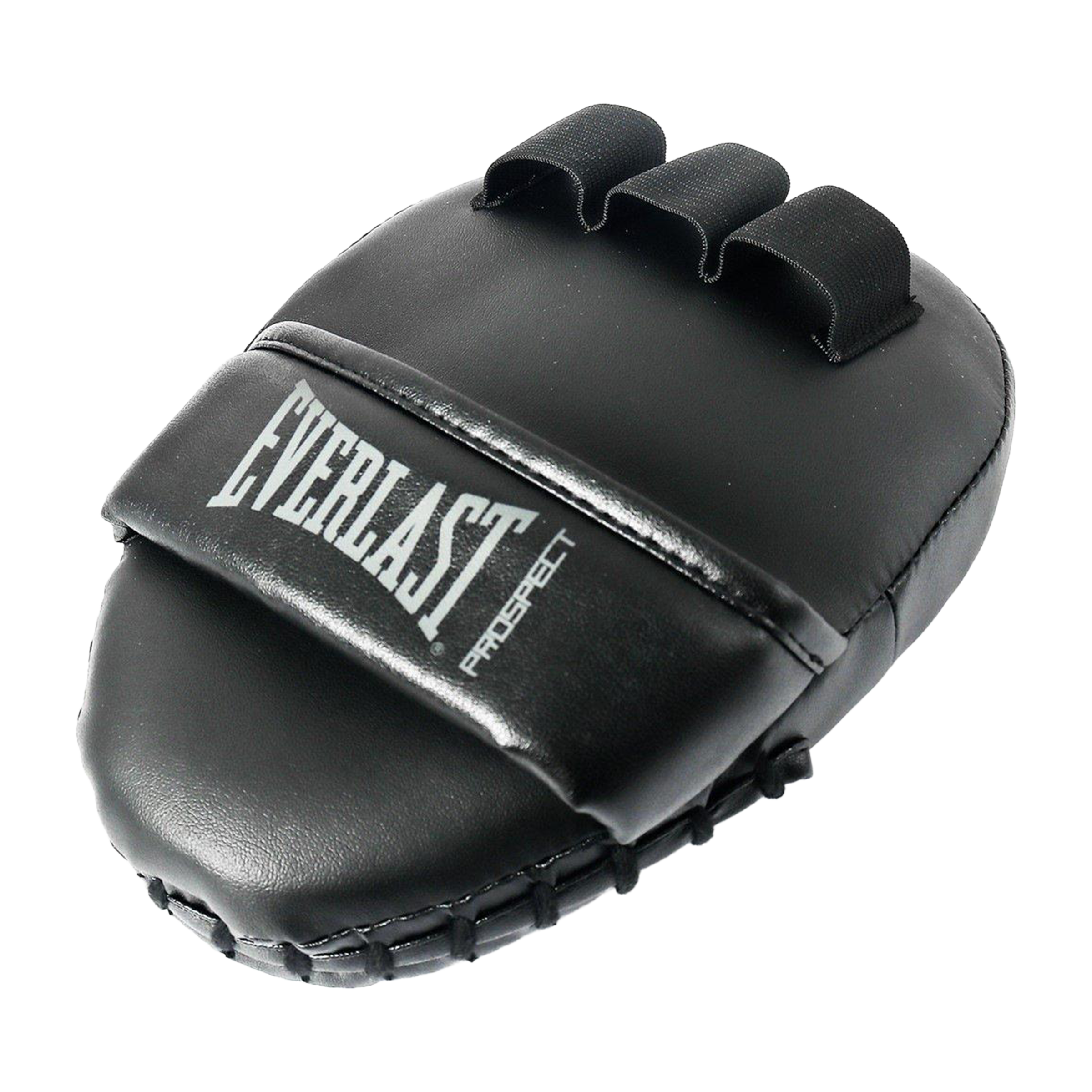 Everlast Boxing Pro2 Mitt Kit