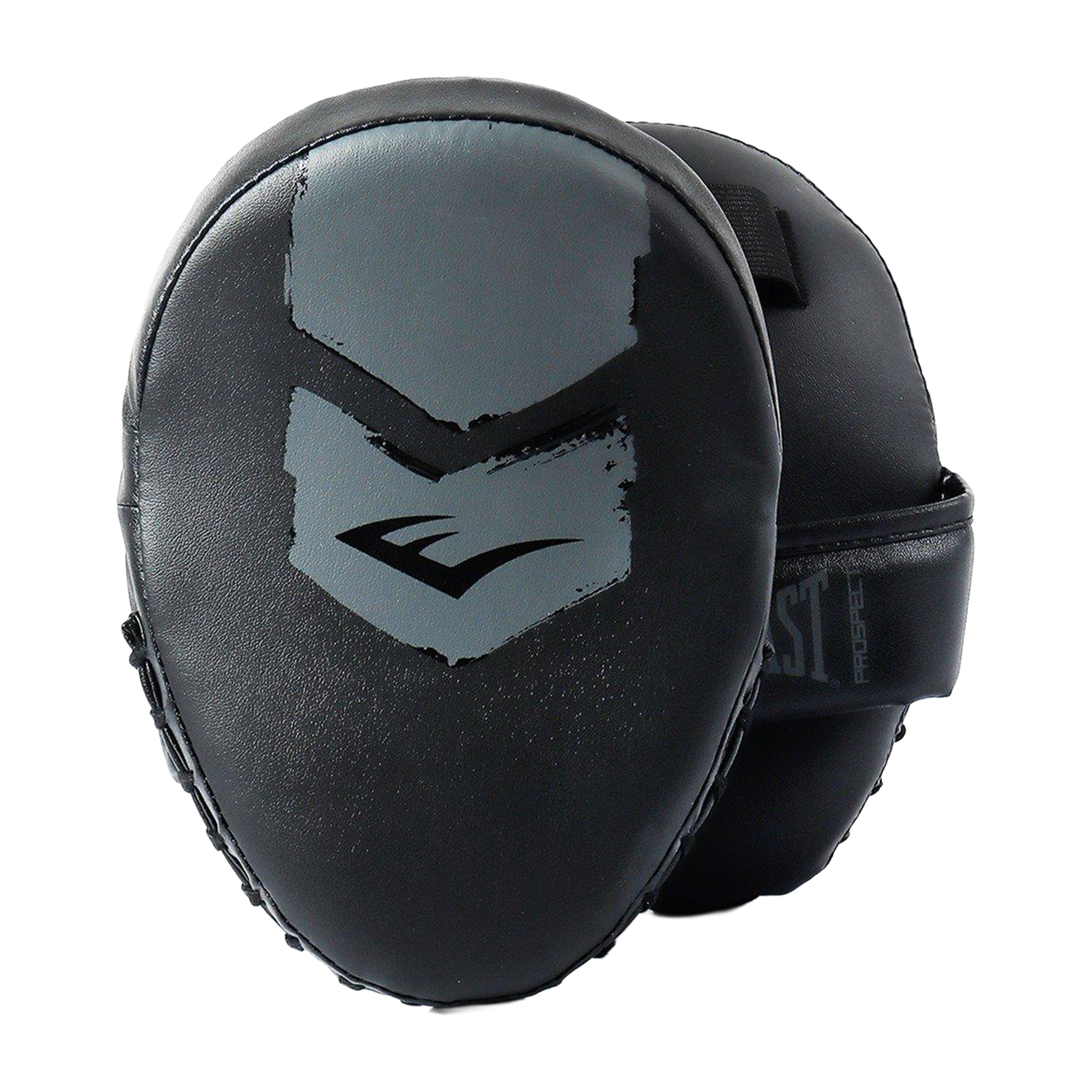 Everlast Boxing Pro2 Mitt Kit