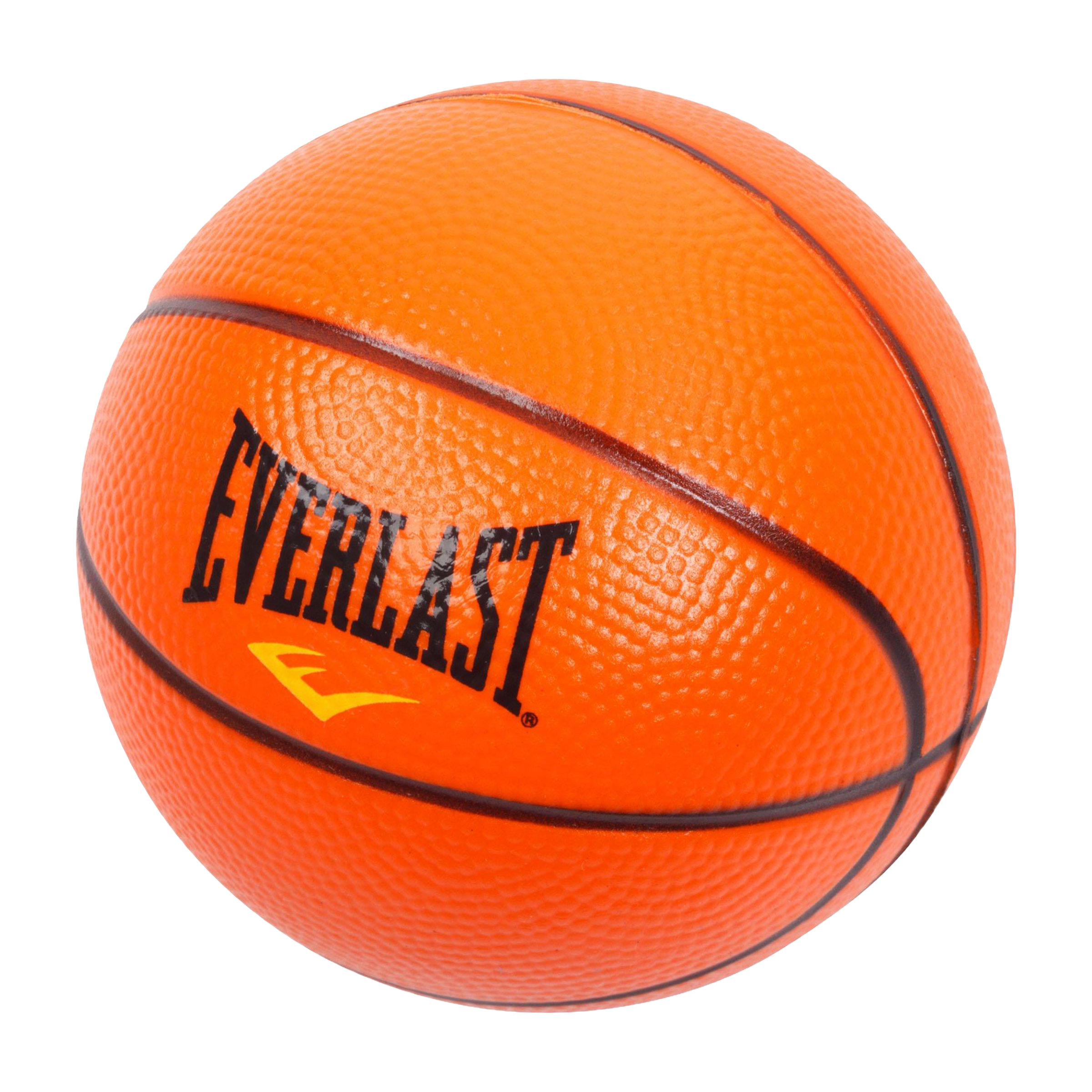 Everlast Home Mini Basketball Hoop Set