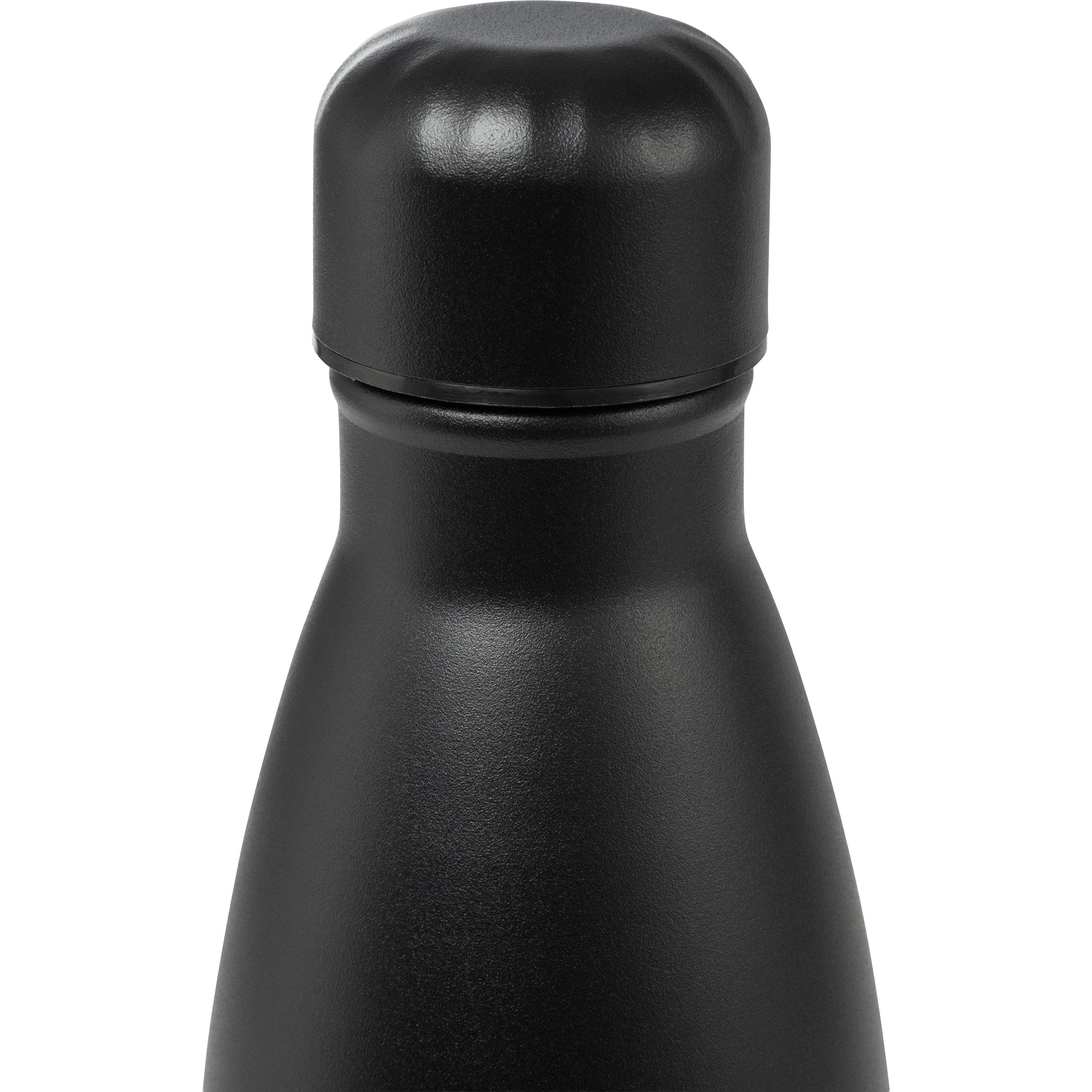 Everlast Stainless Steel Water Bottle