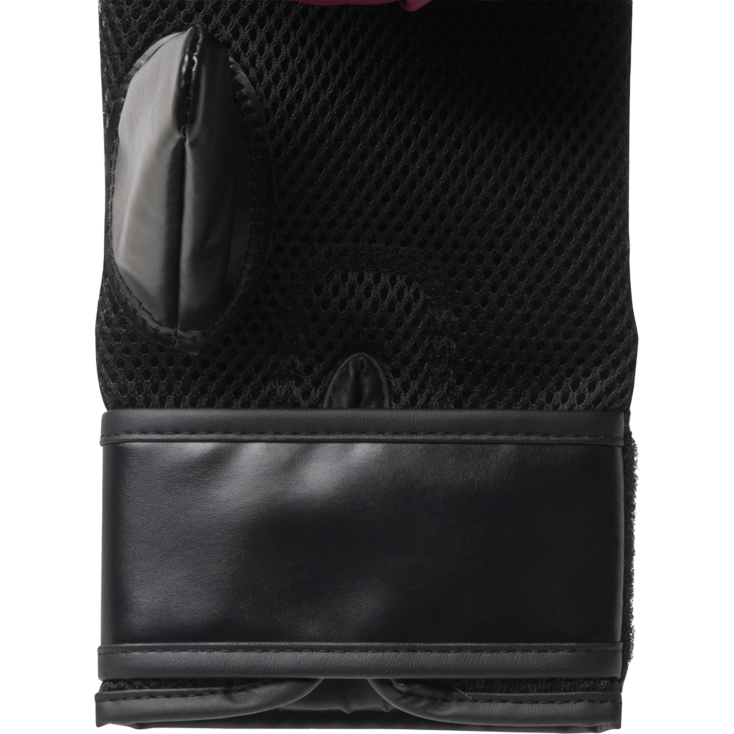 Everlast Elite Tempo Cardio Mitt Kit