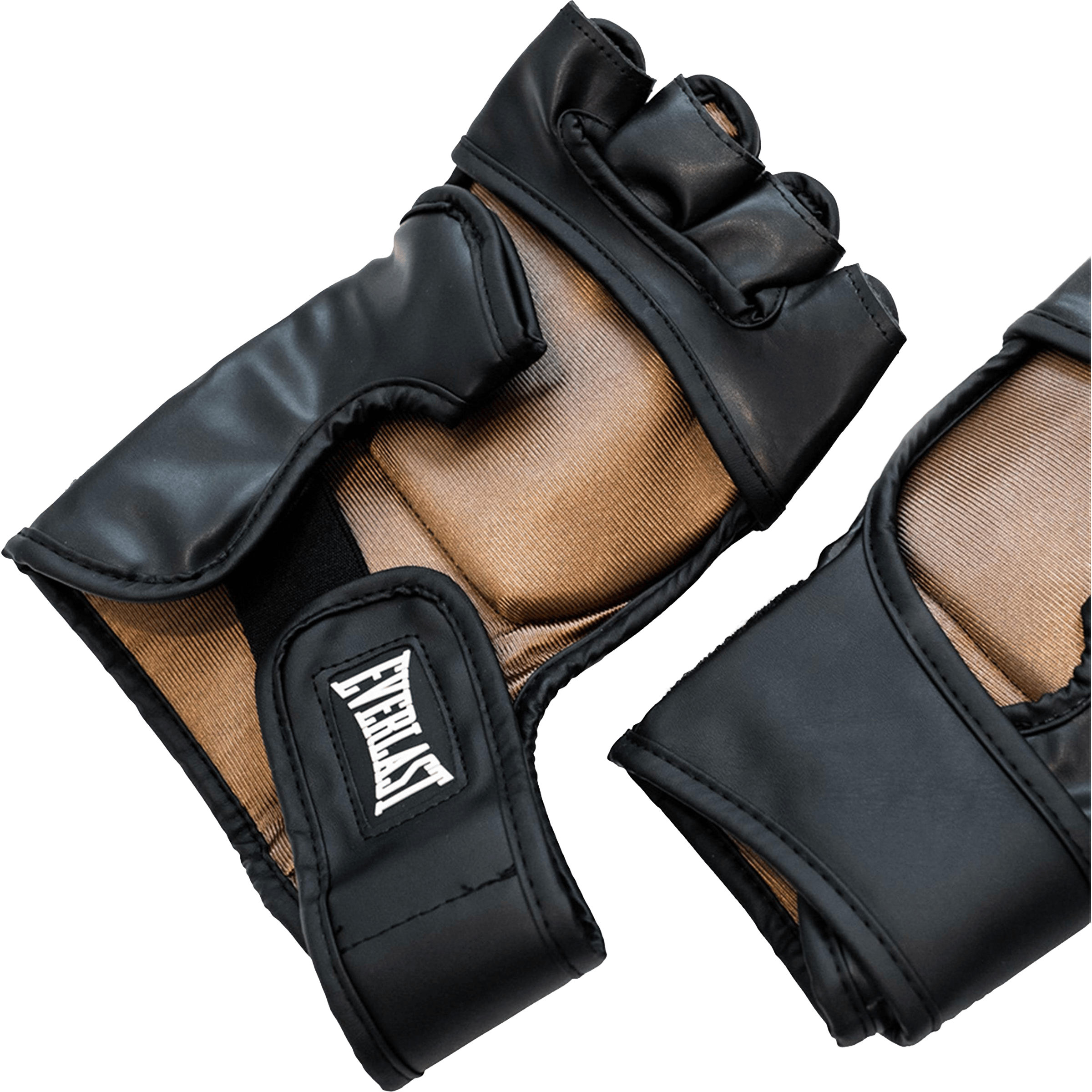 Everlast Titan MMA Training Gloves