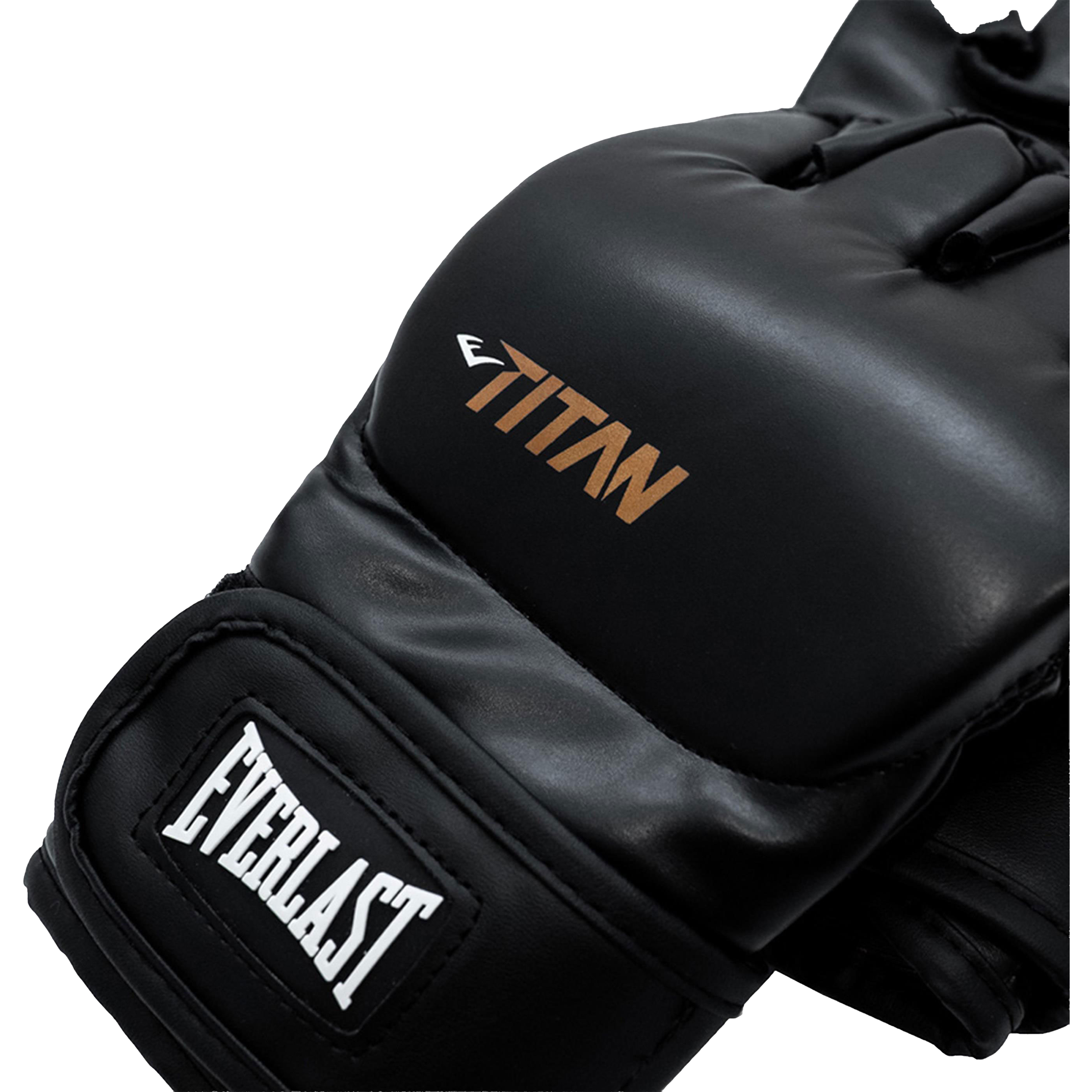 Everlast Titan MMA Gloves
