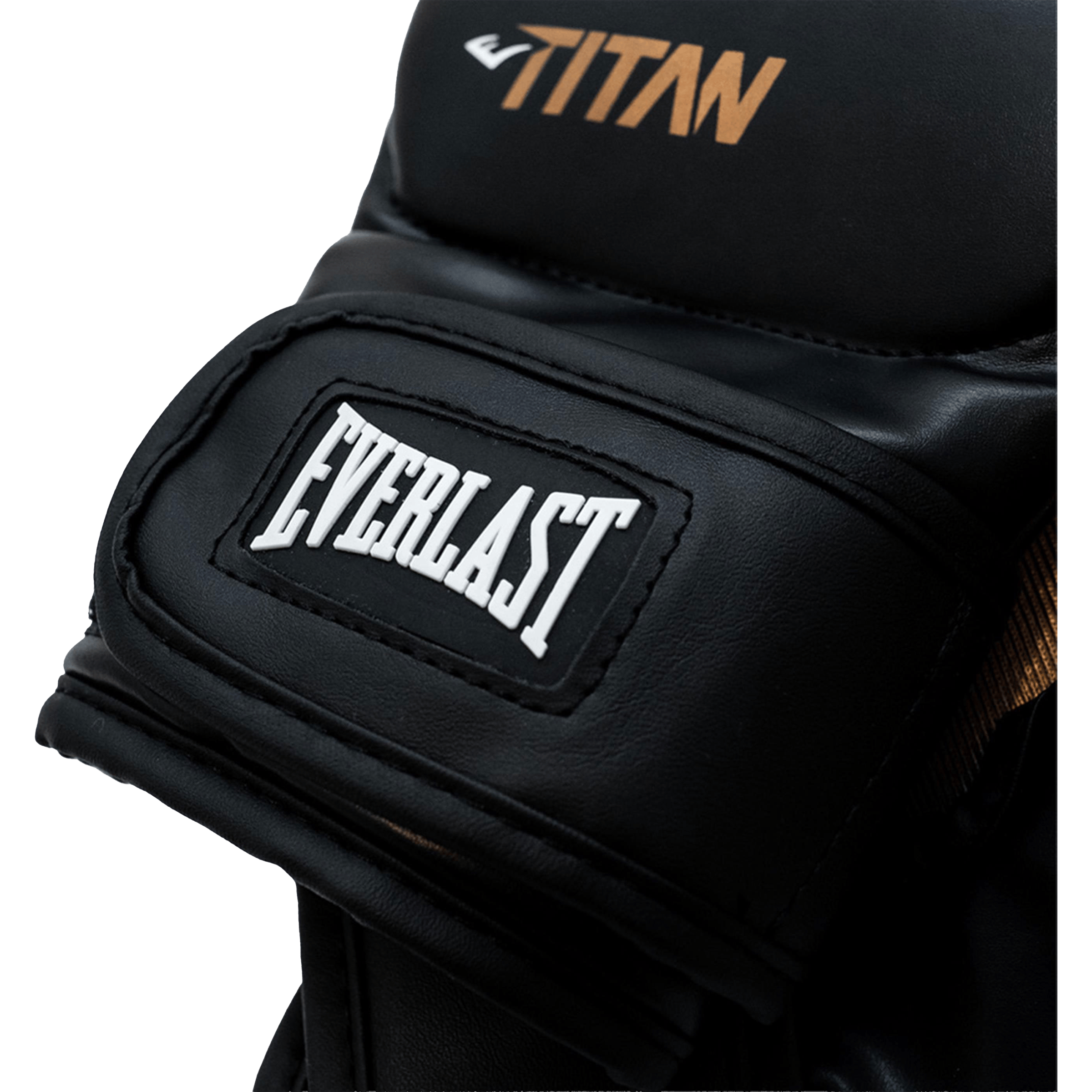Everlast Titan MMA Training Gloves