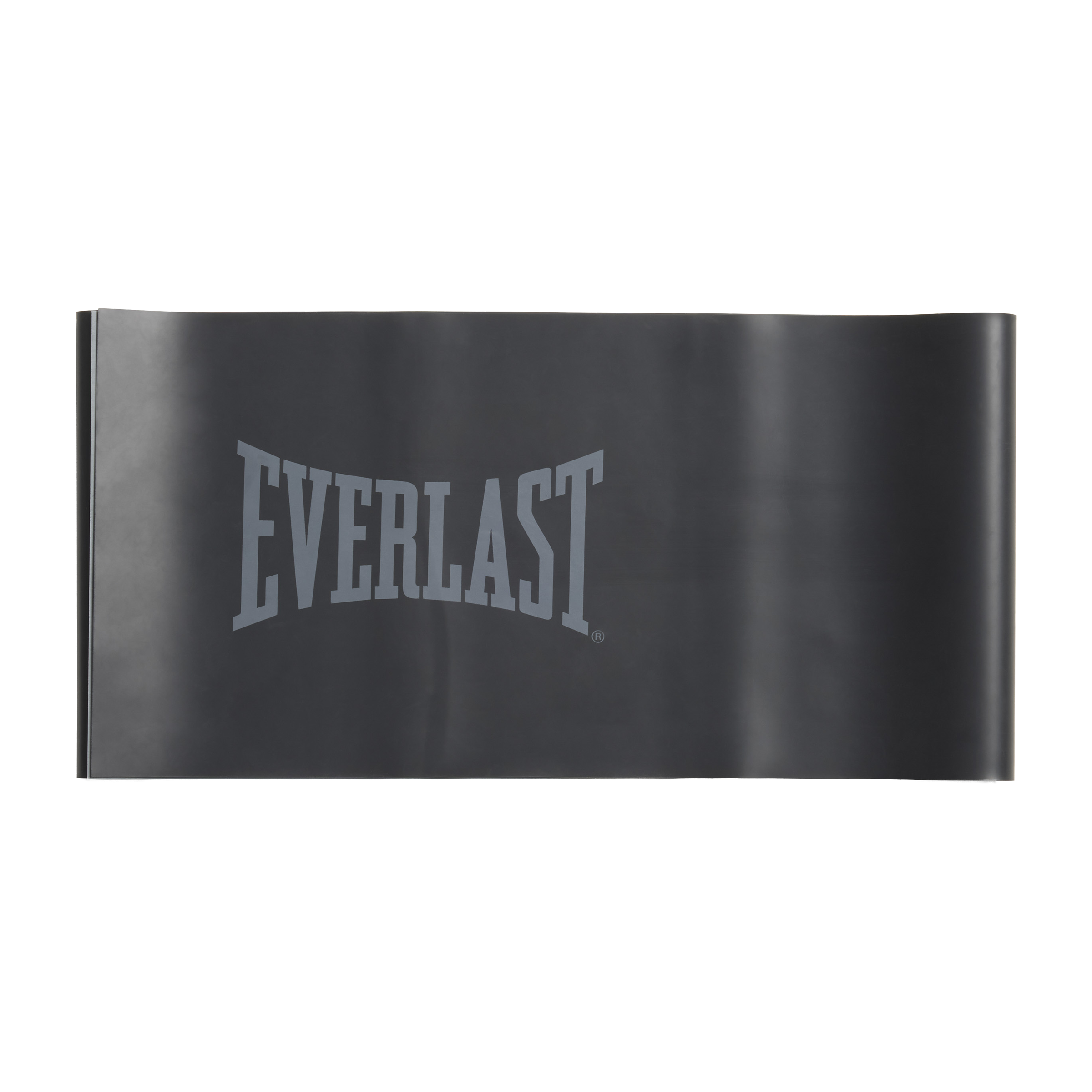 Everlast Latex Bands Set