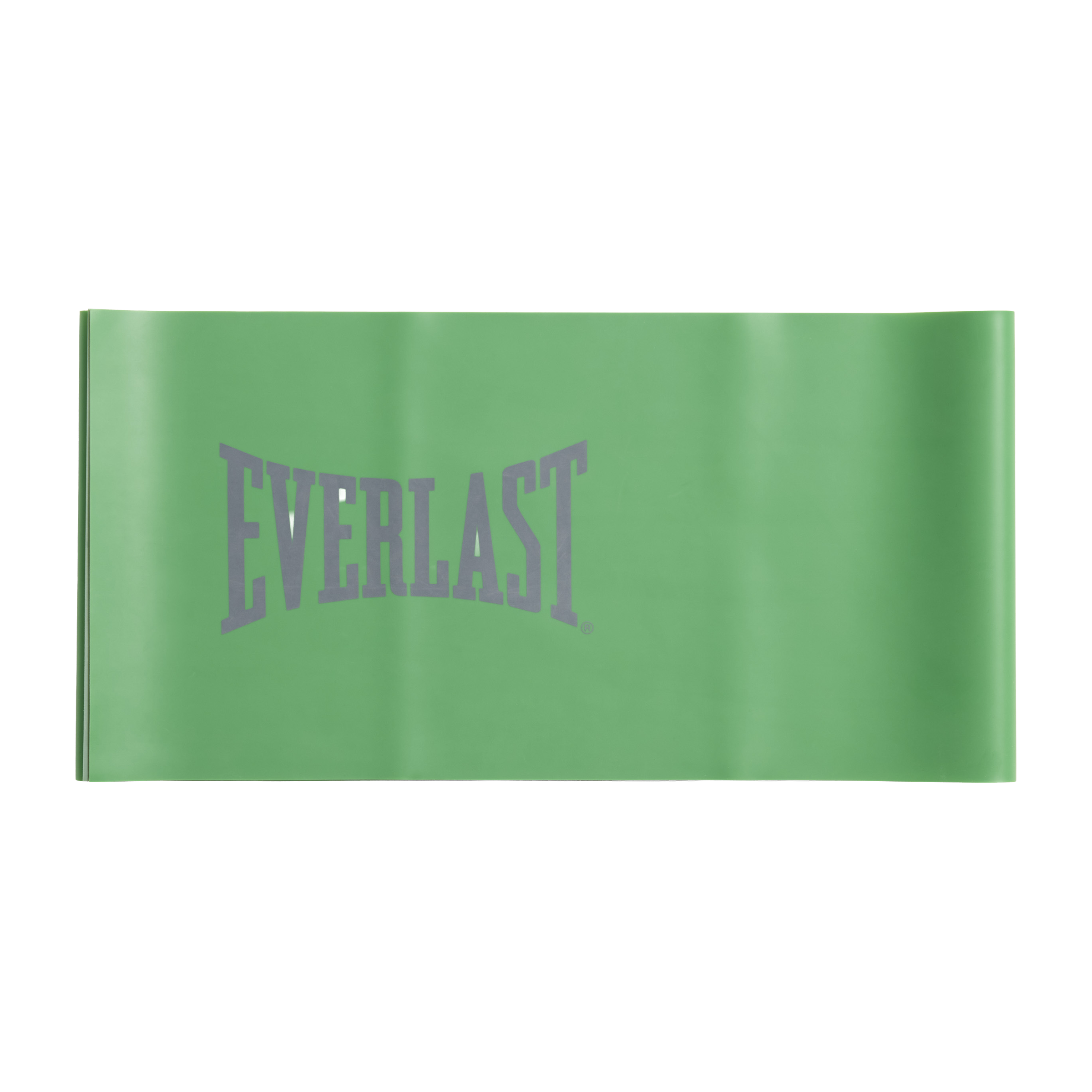 Everlast Latex Bands Set