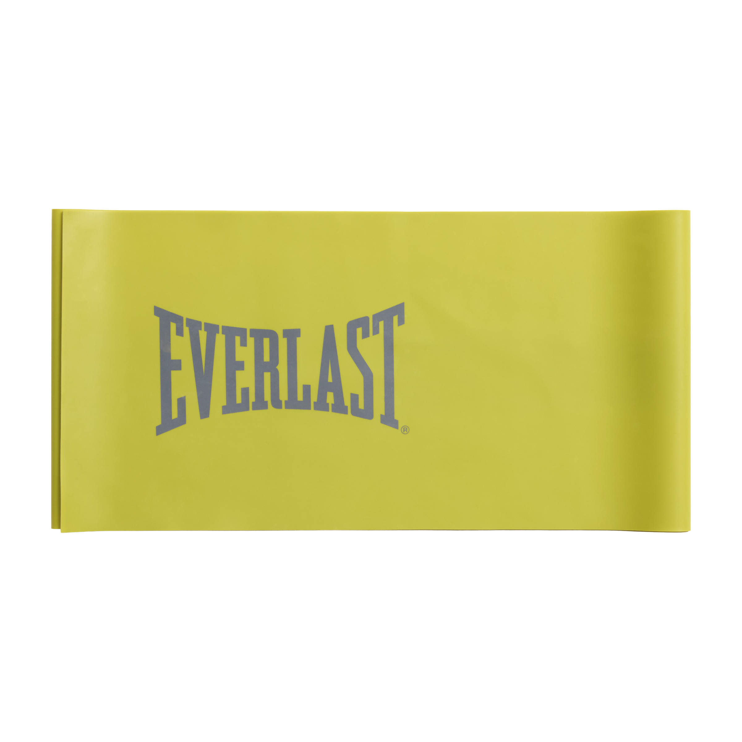 Everlast Latex Bands Set