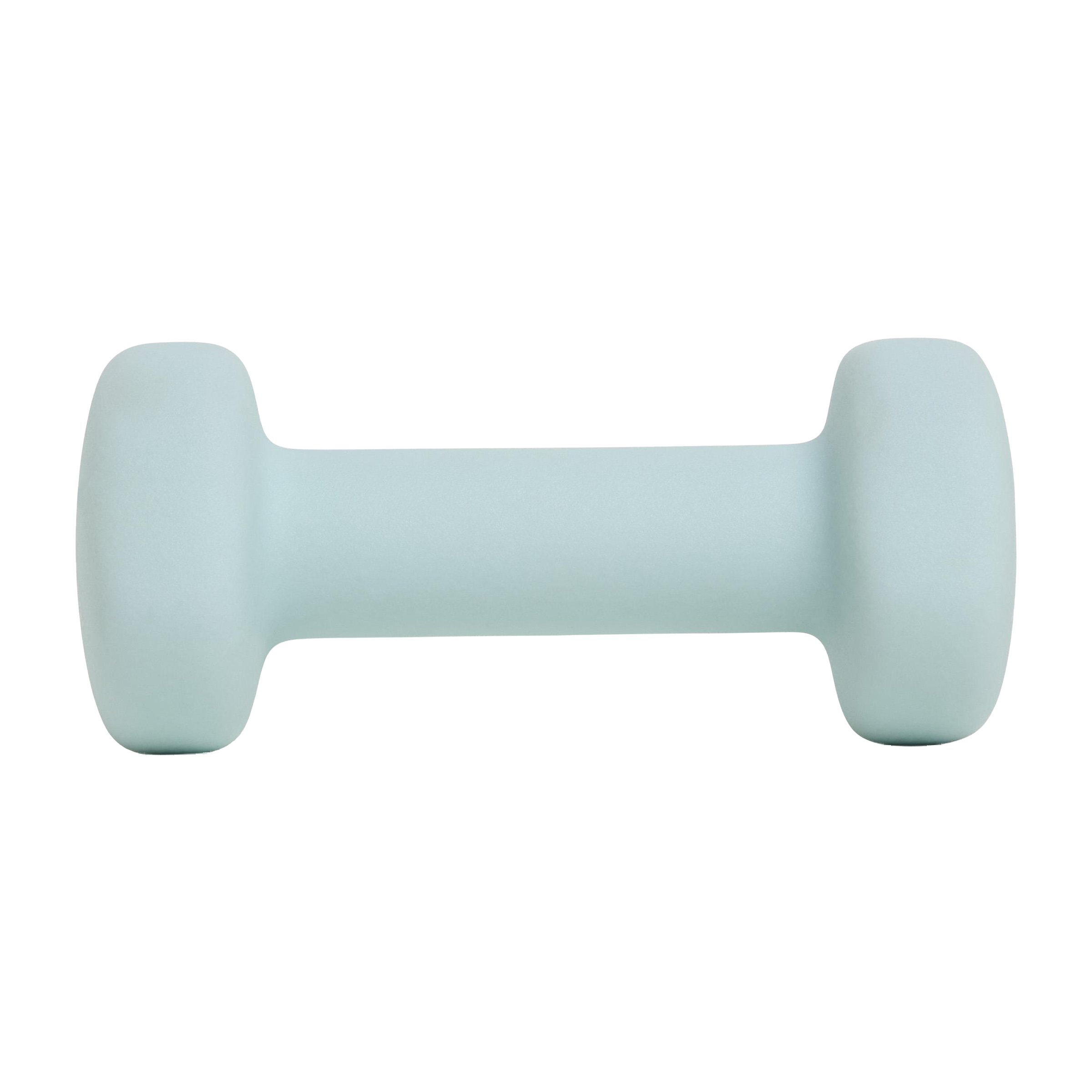 Everlast Neoprene Dipped (1kg) Dumbbell