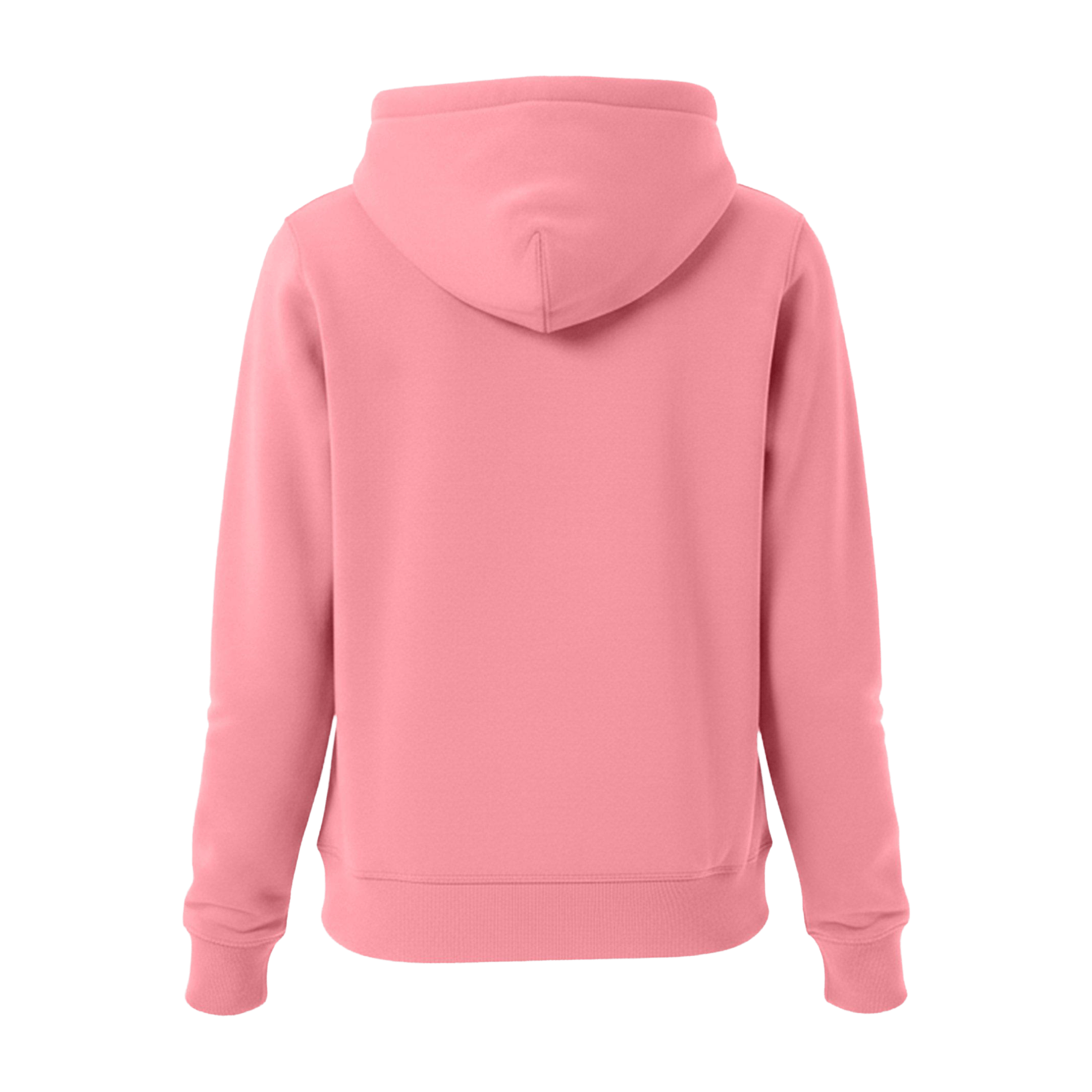 Womens Jack Wills Astbury Pheasant Logo Hoodie