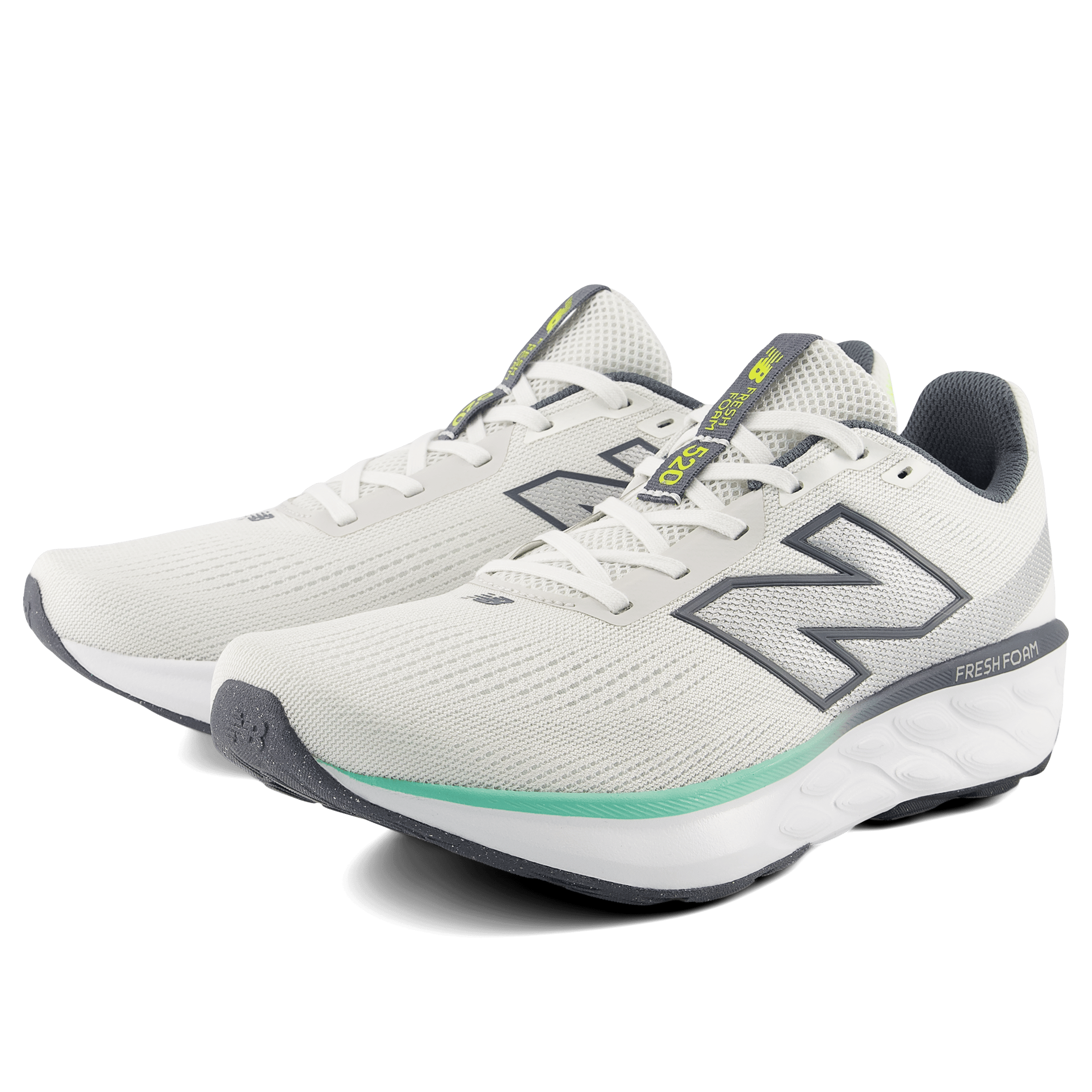 Mens New Balance 520 v9 Running Shoes