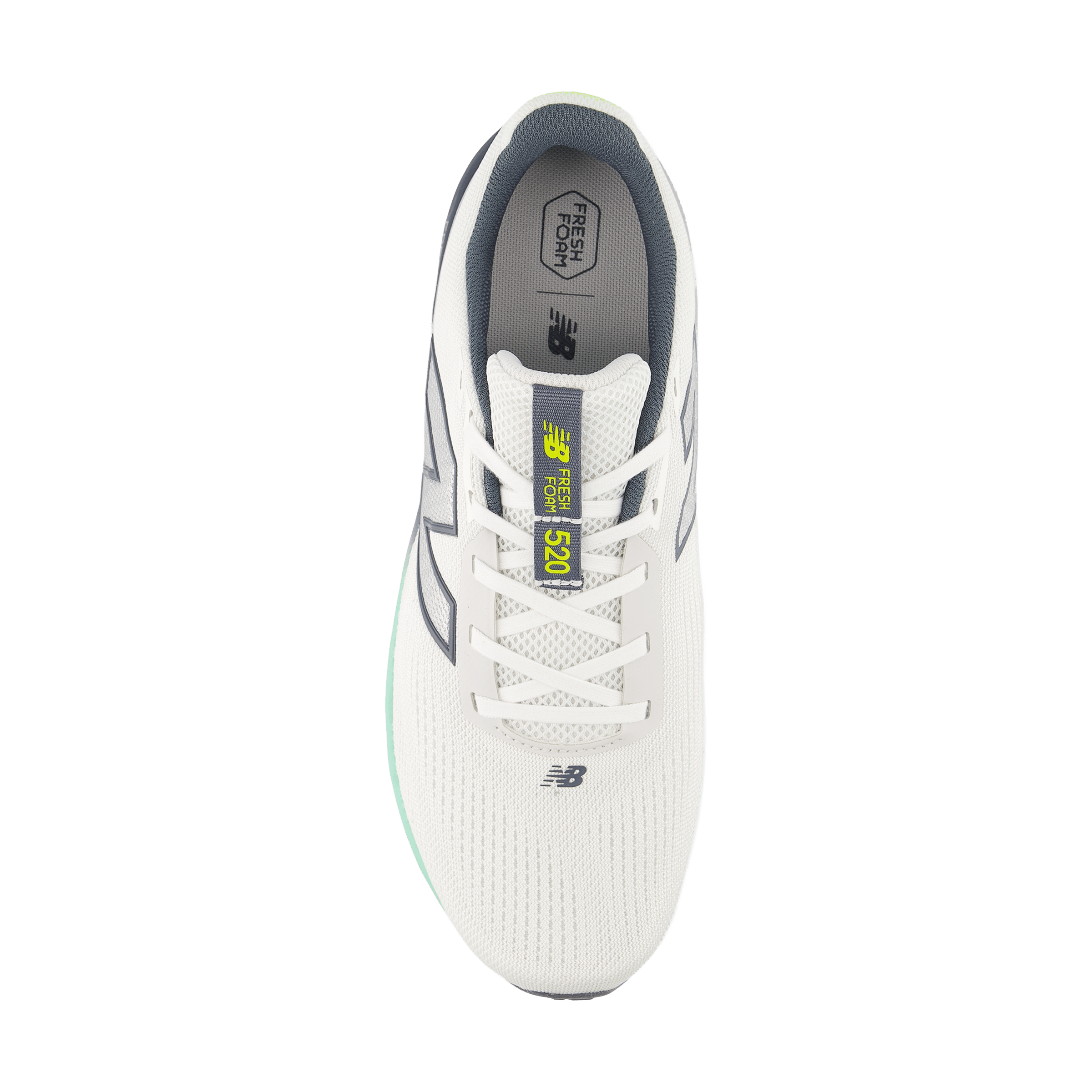 Mens New Balance 520 v9 Running Shoes