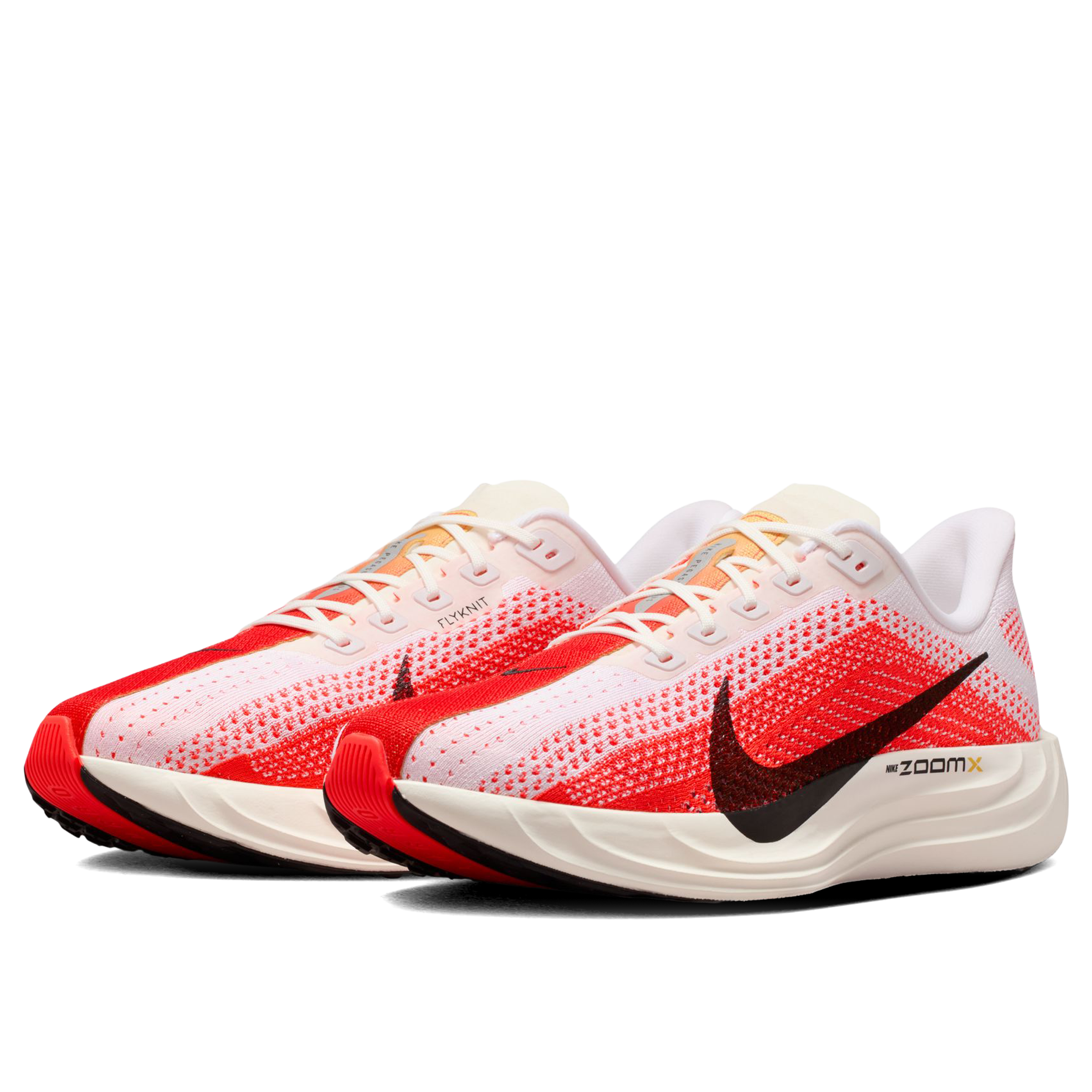 Nike Pegasus Plus Running Shoes