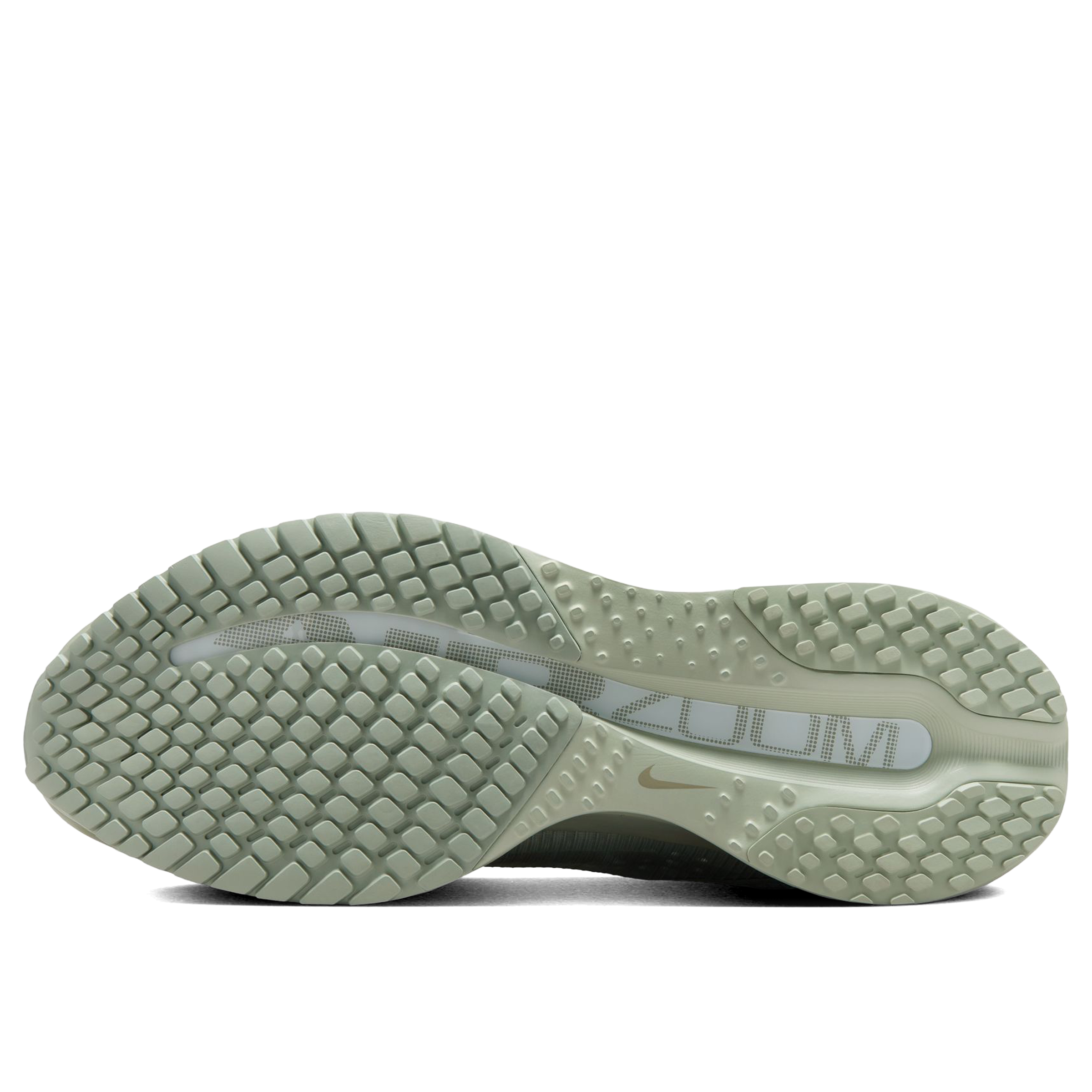 Nike Pegasus Premium Running Shoes