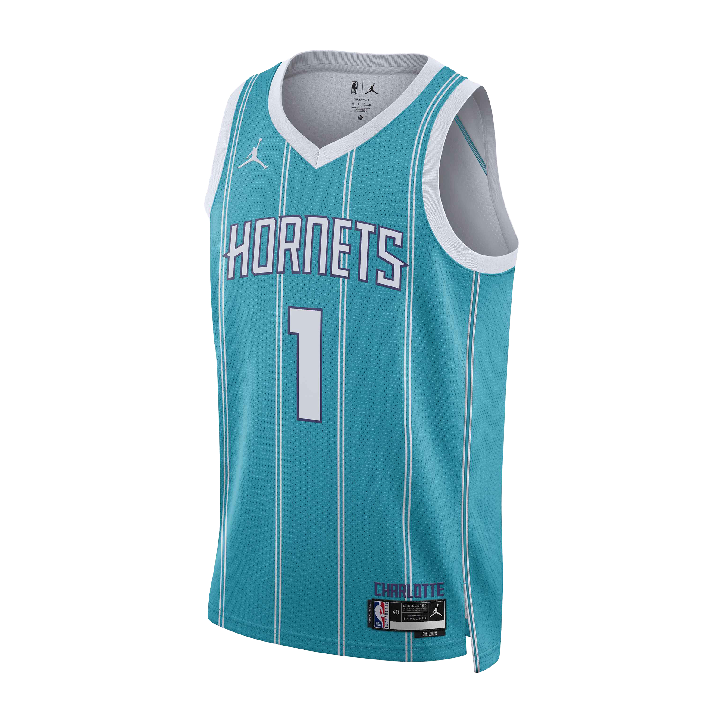 Nike Hornets Icon Edition 2022 NBA Swingman Jersey