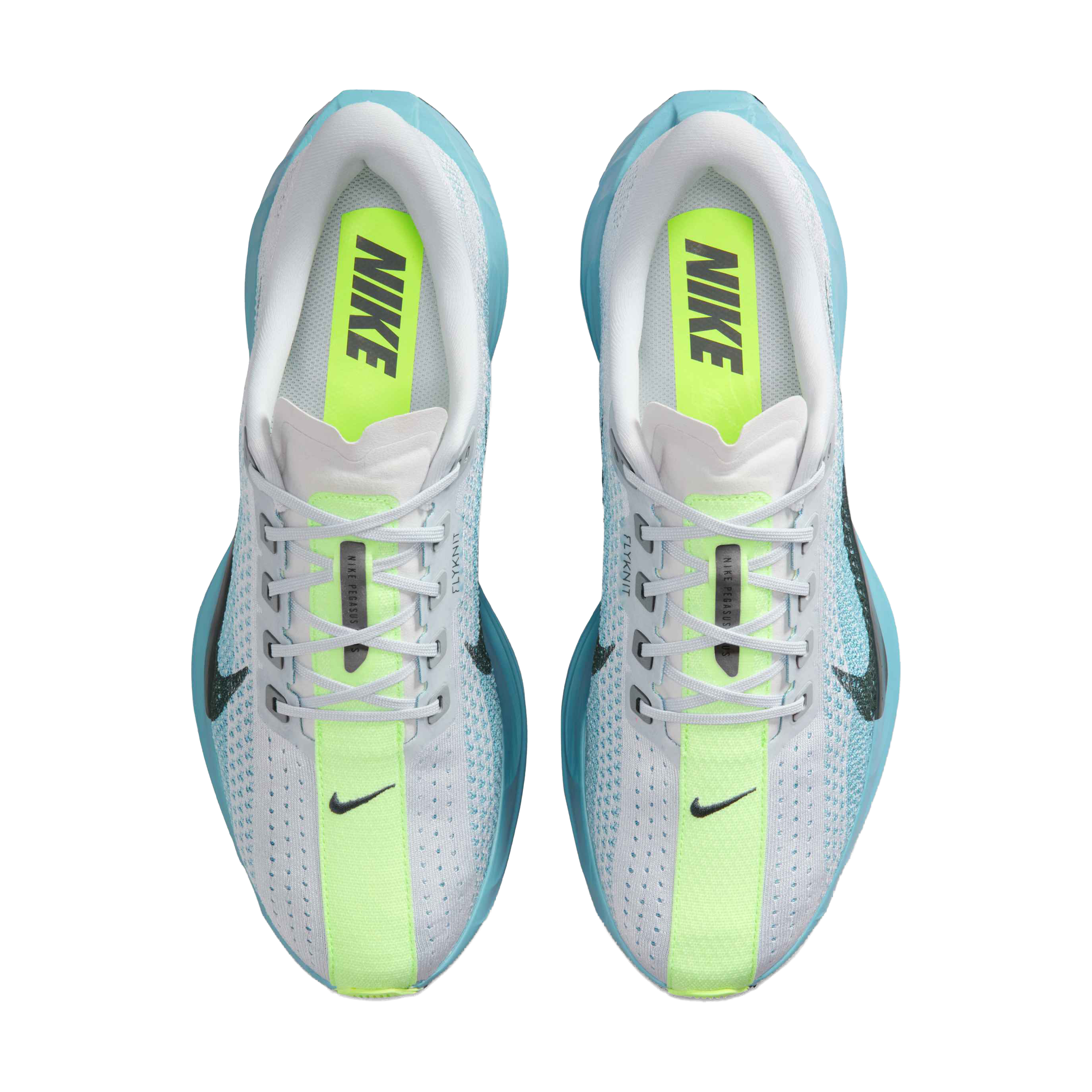 Nike Pegasus Plus Running Shoes