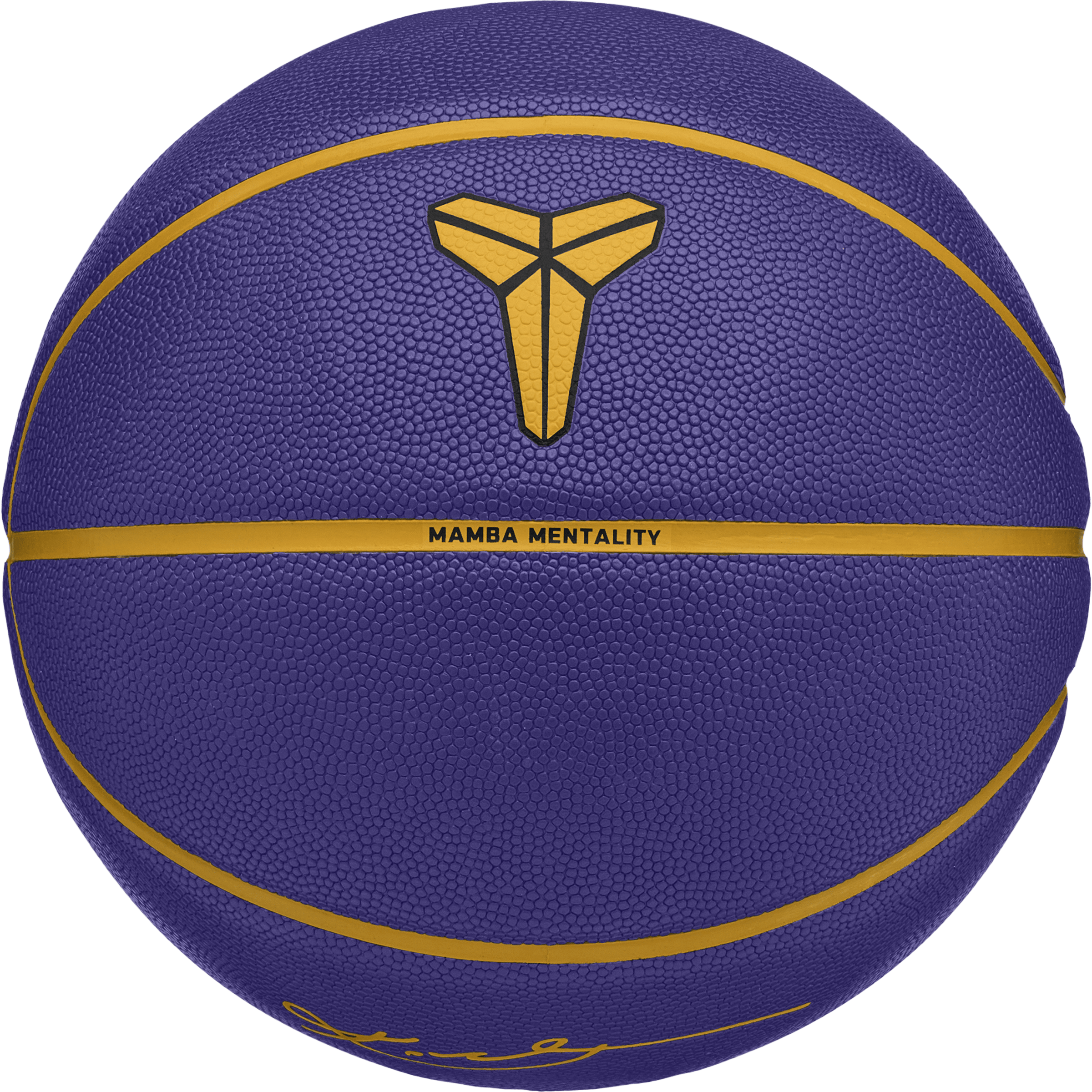 Nike Kobe Bryant All Court Basketball