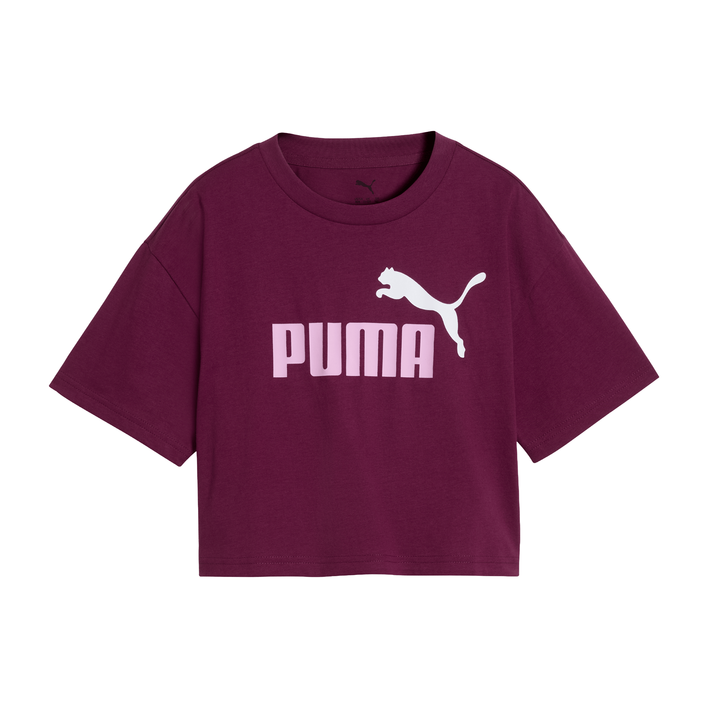 Kids Puma Essentials 2 Color No.1 Logo Tee