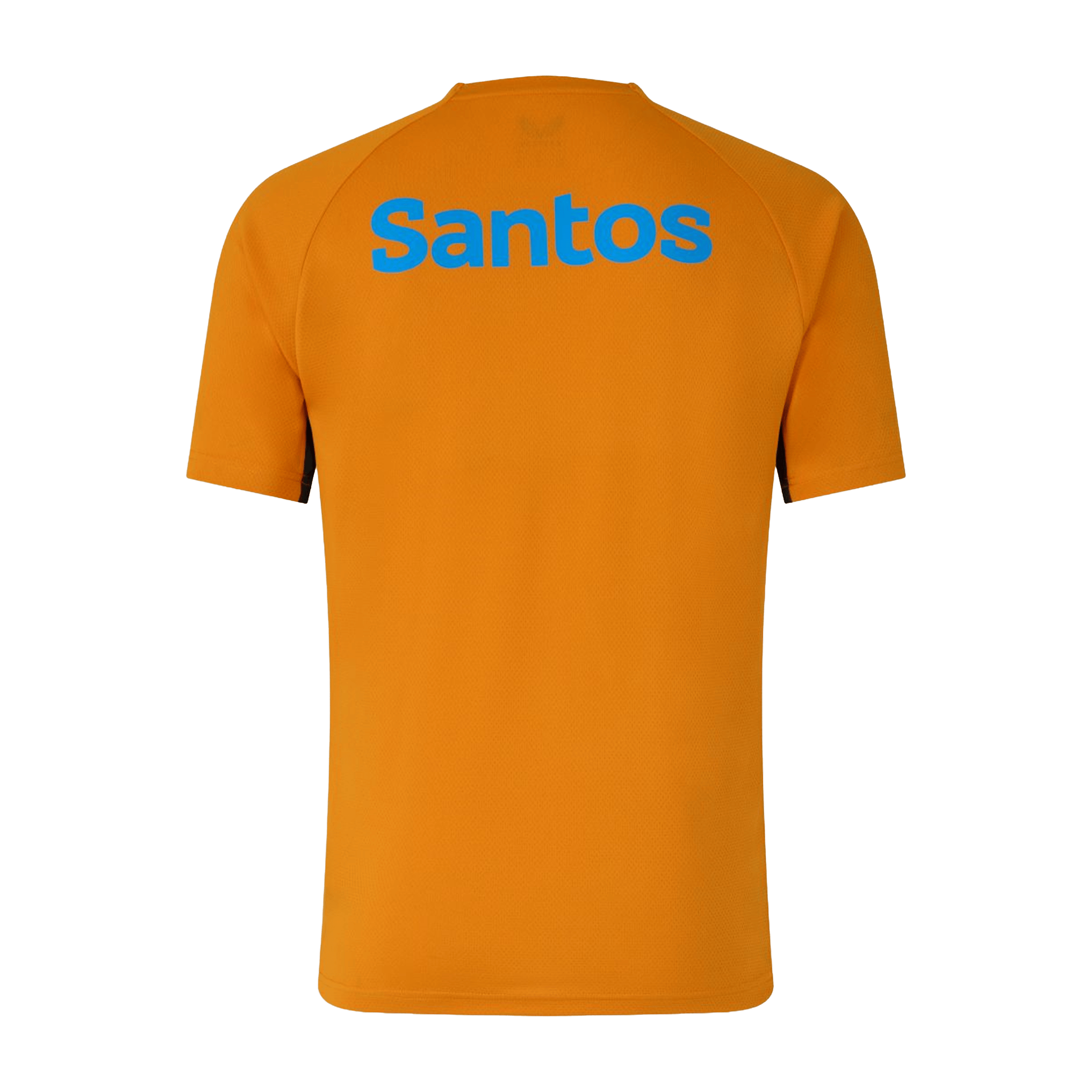 Mens Castore Wallabies 2026 Pre-Match Rugby Tee