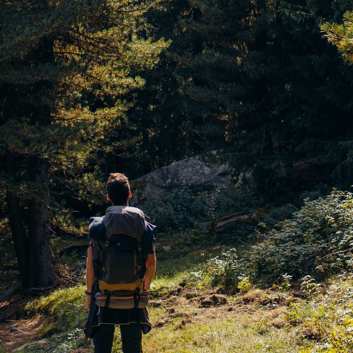 How to Choose the Right Hiking Backpack