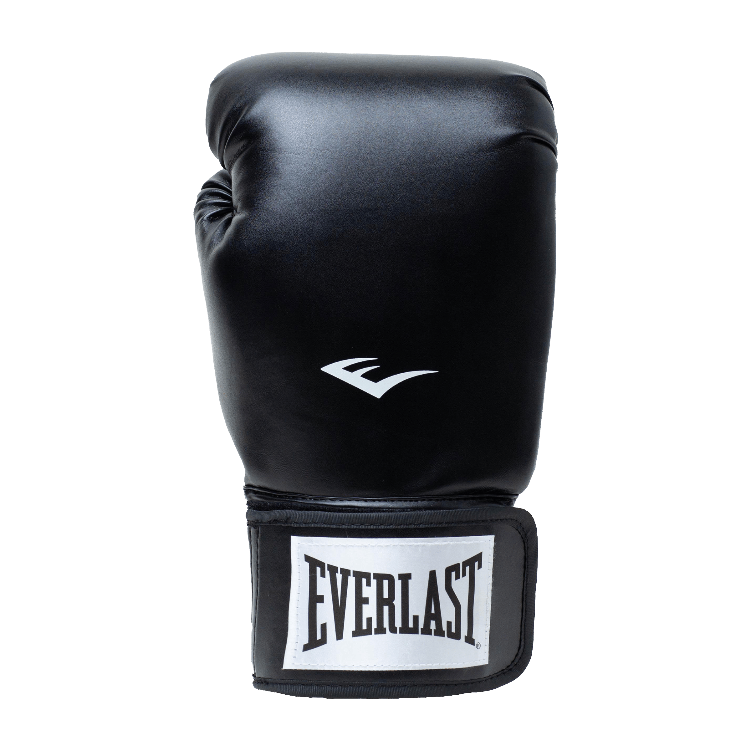 Everlast Pro Style2 Training Boxing Gloves